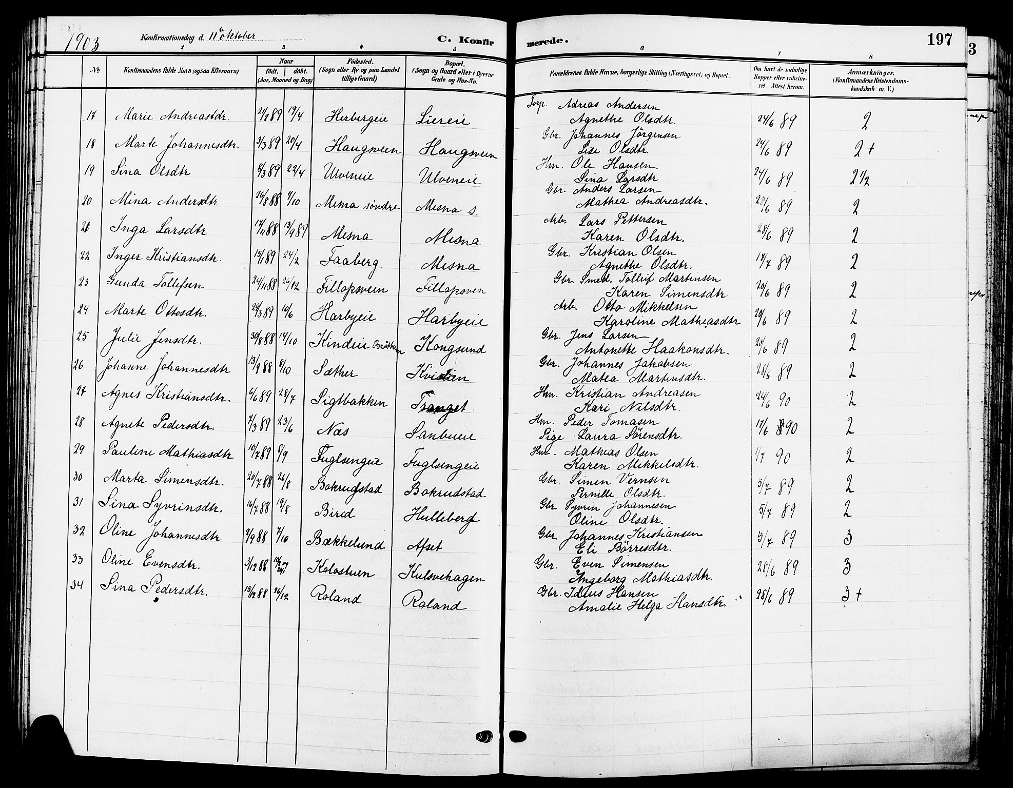 Ringsaker prestekontor, AV/SAH-PREST-014/L/La/L0015: Parish register (copy) no. 15, 1903-1912, p. 197