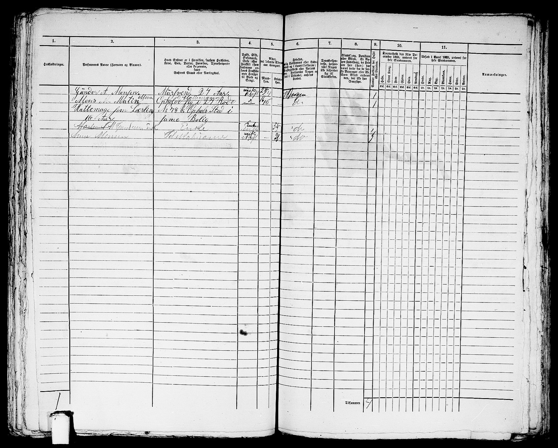 RA, 1865 census for Bergen, 1865, p. 5040