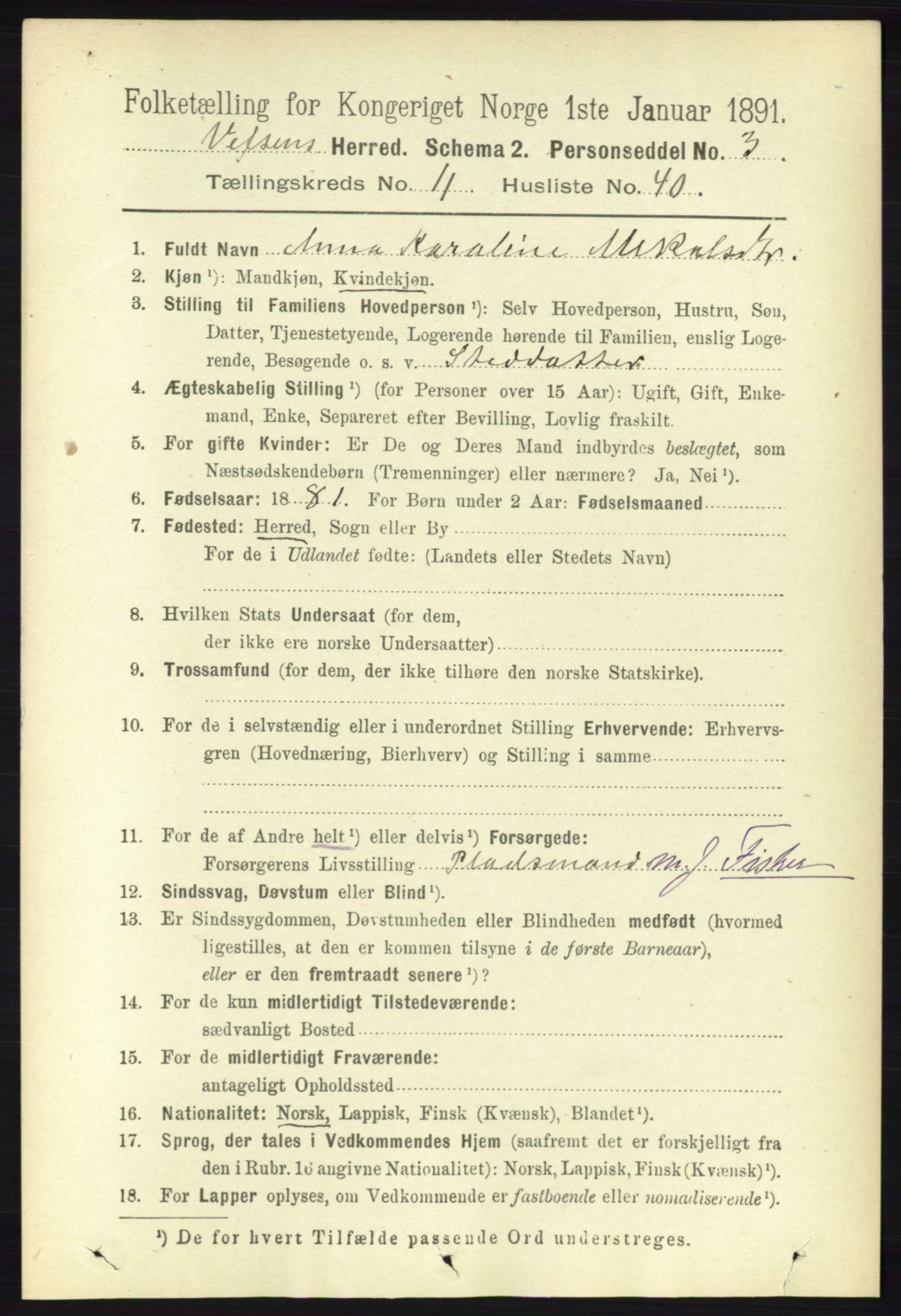 RA, 1891 census for 1824 Vefsn, 1891, p. 5896