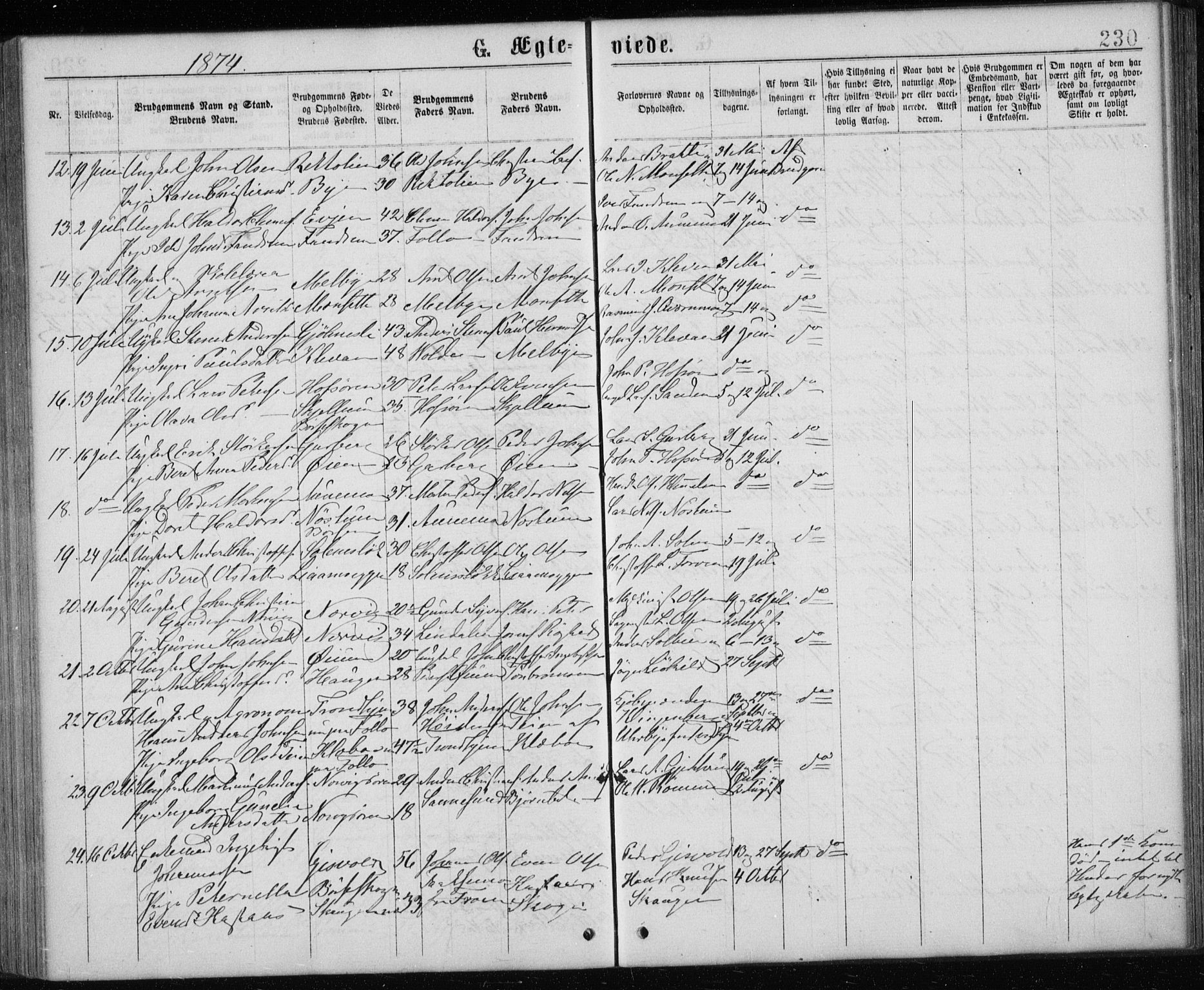 Ministerialprotokoller, klokkerbøker og fødselsregistre - Sør-Trøndelag, SAT/A-1456/668/L0817: Parish register (copy) no. 668C06, 1873-1884, p. 230