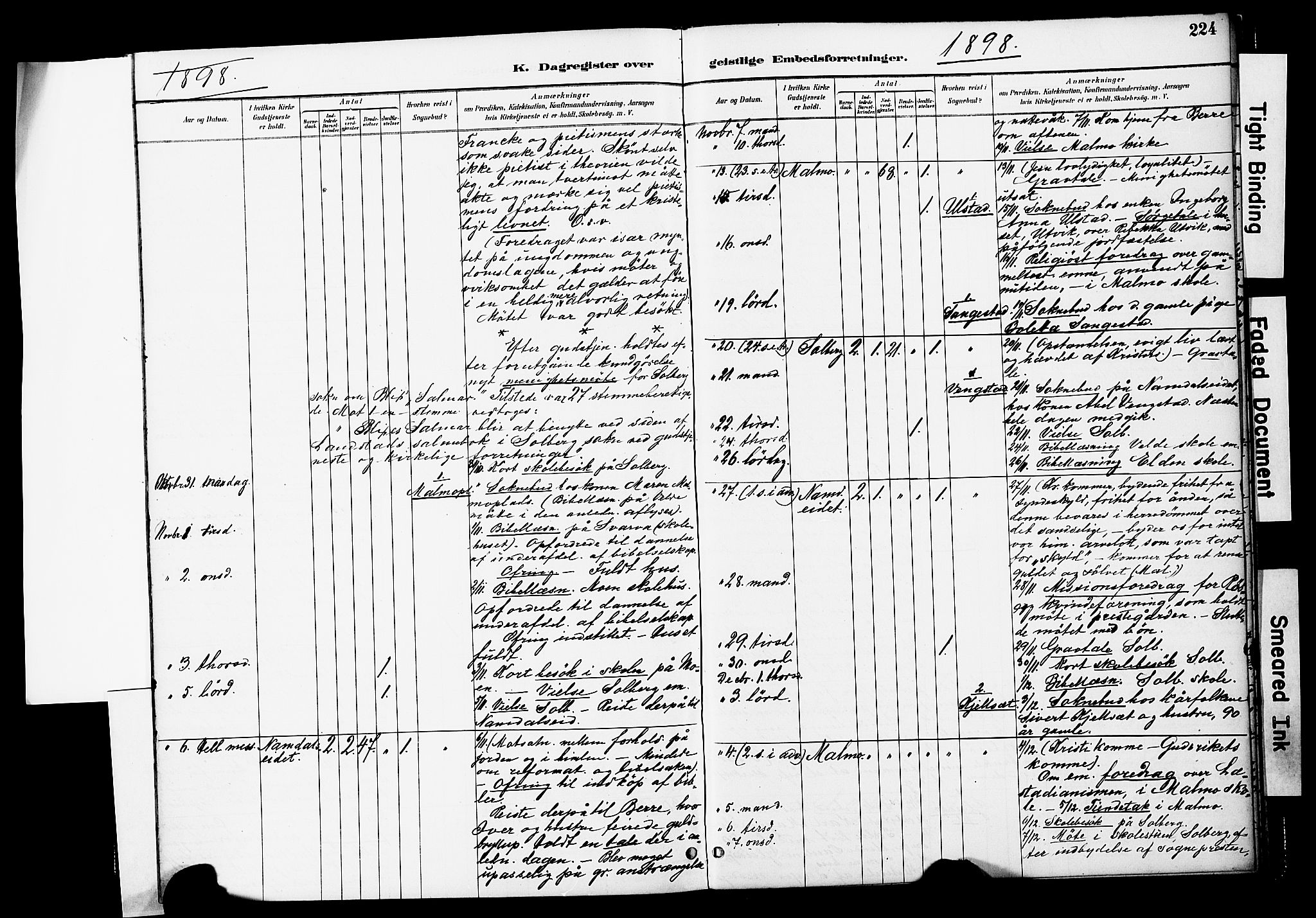 Ministerialprotokoller, klokkerbøker og fødselsregistre - Nord-Trøndelag, AV/SAT-A-1458/741/L0396: Parish register (official) no. 741A10, 1889-1901, p. 224