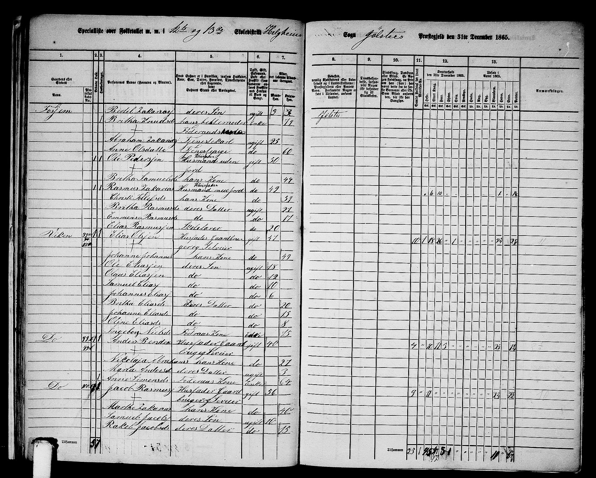 RA, 1865 census for Jølster, 1865, p. 29