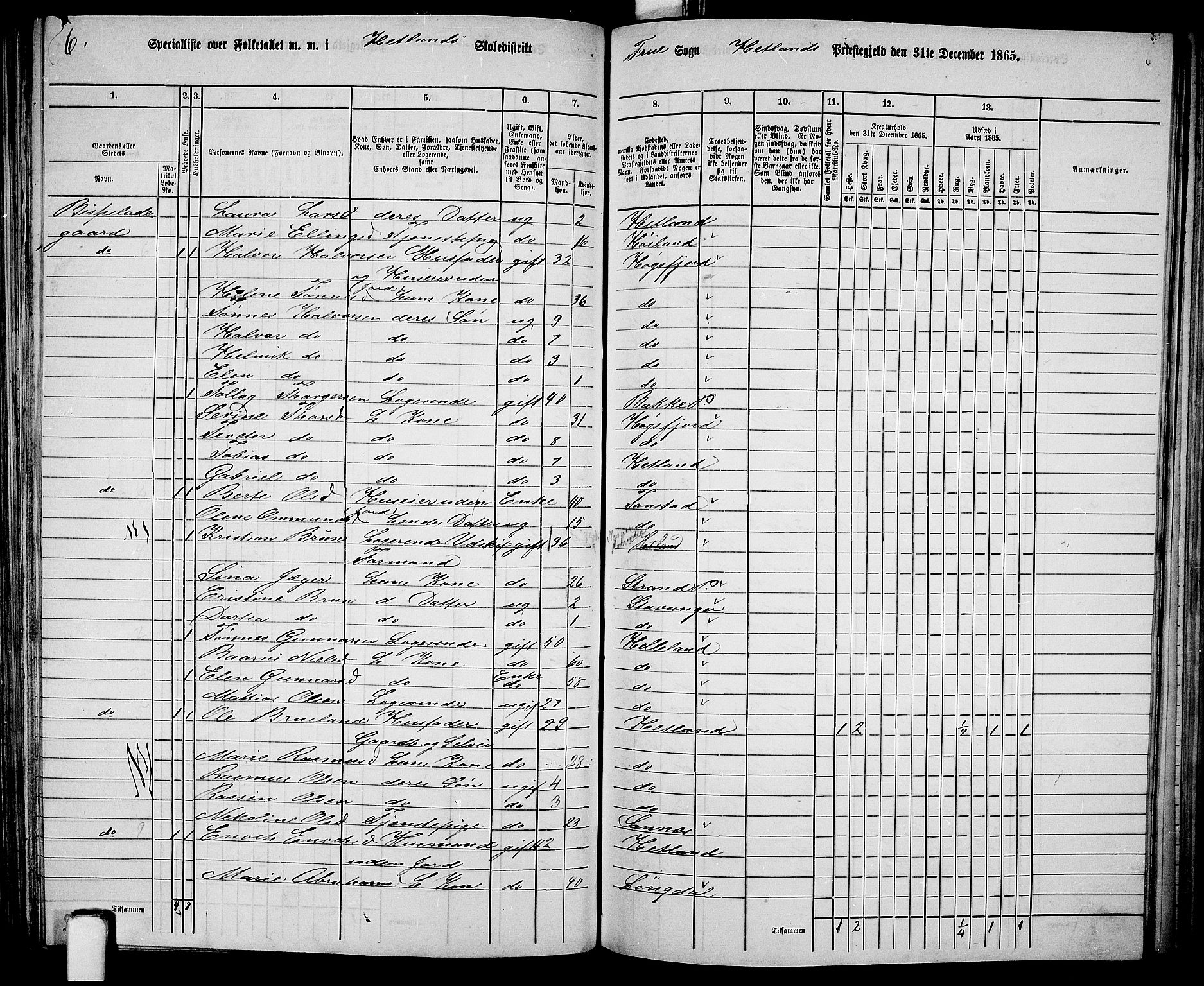 RA, 1865 census for Hetland, 1865, p. 133