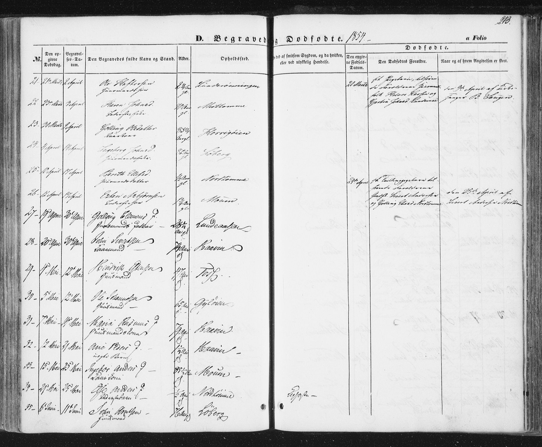Ministerialprotokoller, klokkerbøker og fødselsregistre - Sør-Trøndelag, SAT/A-1456/692/L1103: Parish register (official) no. 692A03, 1849-1870, p. 213