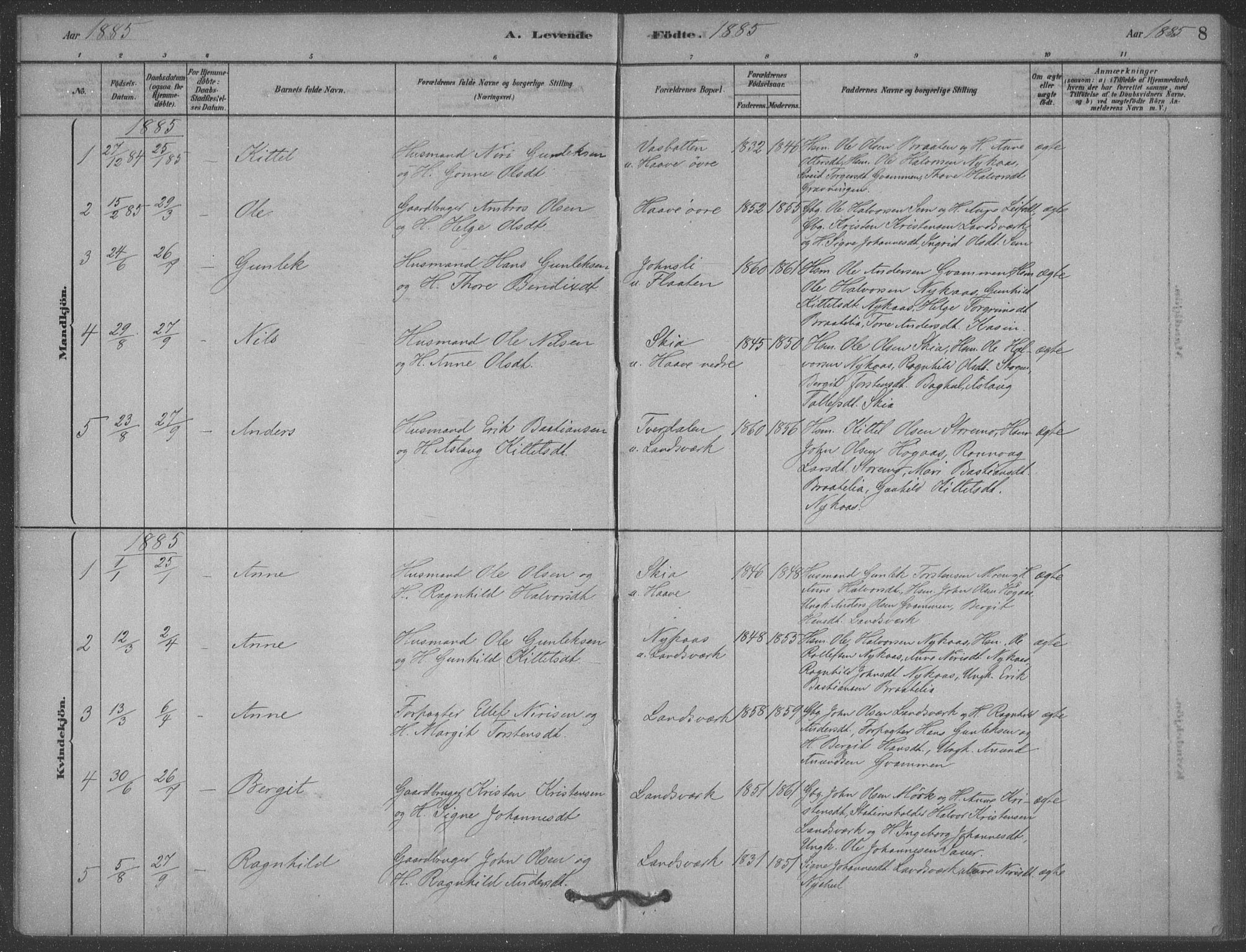 Heddal kirkebøker, SAKO/A-268/F/Fb/L0002: Parish register (official) no. II 2, 1878-1913, p. 8