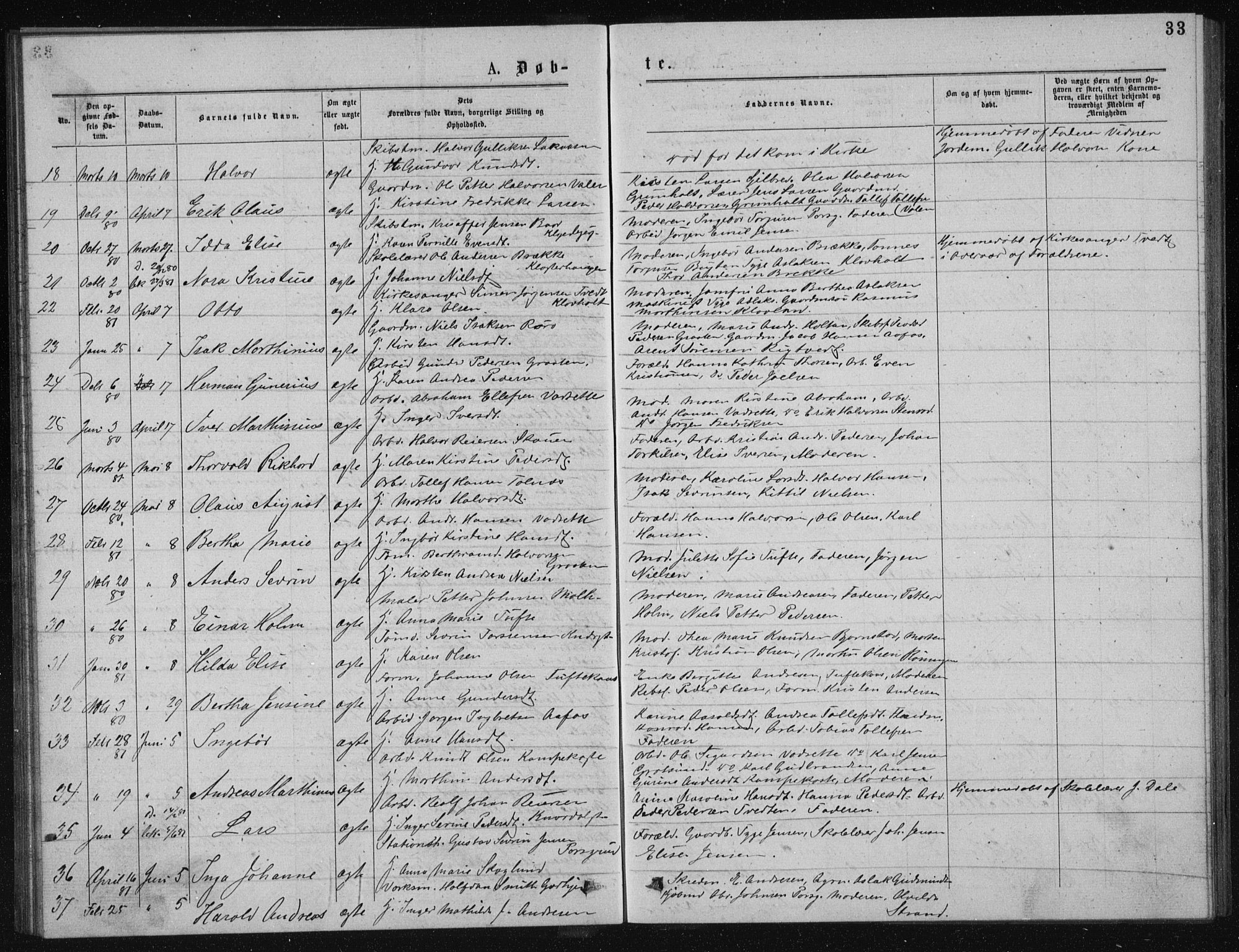 Solum kirkebøker, AV/SAKO-A-306/G/Ga/L0005: Parish register (copy) no. I 5, 1877-1881, p. 33