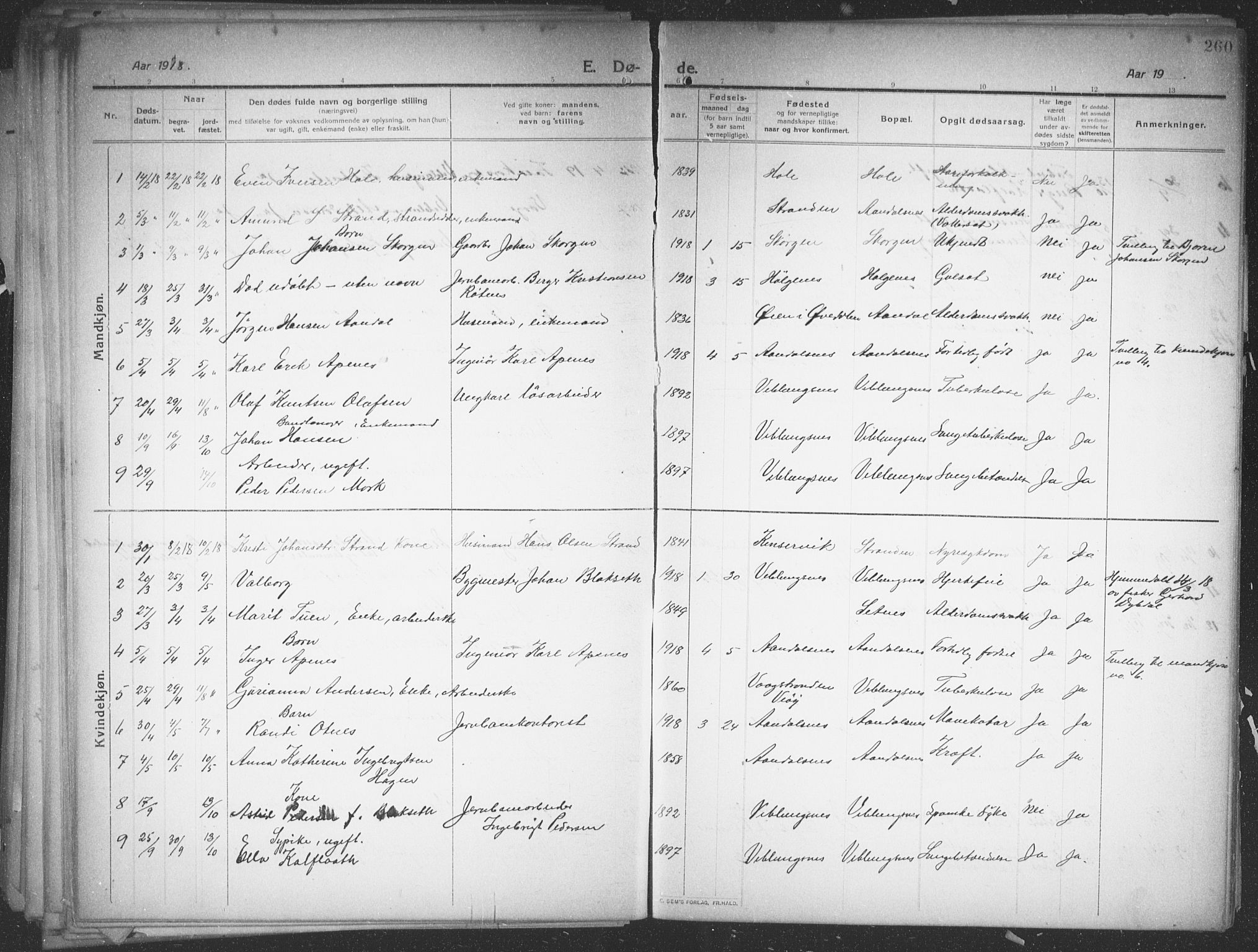 Ministerialprotokoller, klokkerbøker og fødselsregistre - Møre og Romsdal, AV/SAT-A-1454/544/L0581: Parish register (copy) no. 544C03, 1910-1937, p. 260