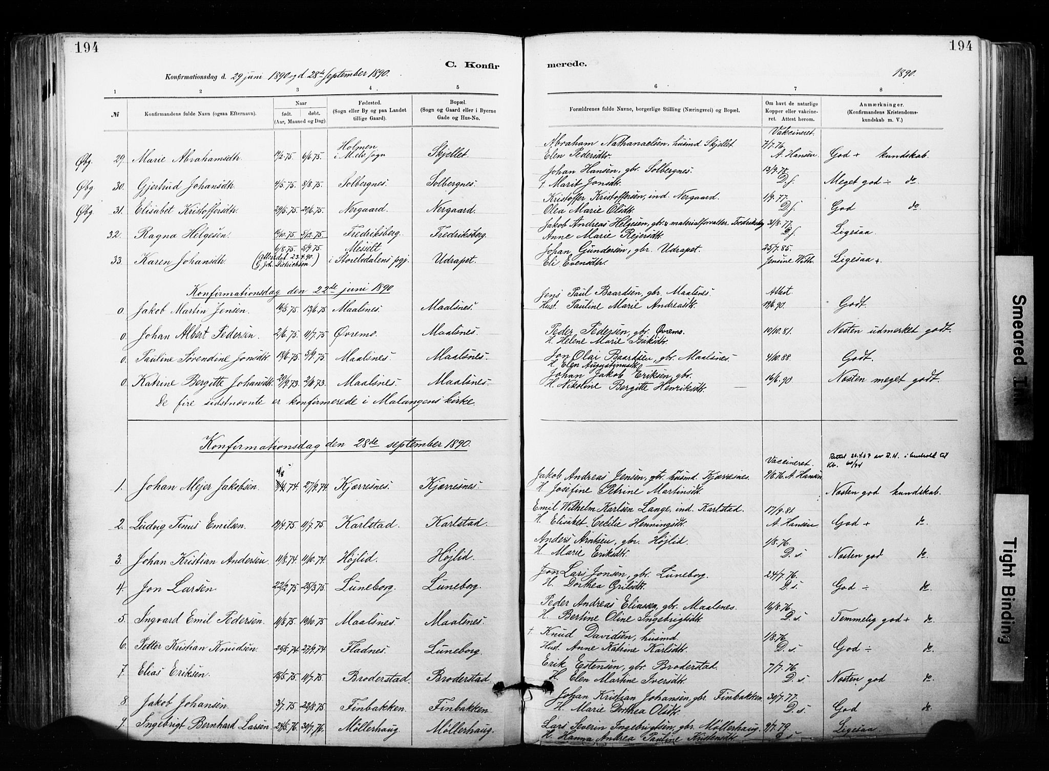 Målselv sokneprestembete, AV/SATØ-S-1311/G/Ga/Gaa/L0007kirke: Parish register (official) no. 7, 1884-1903, p. 194