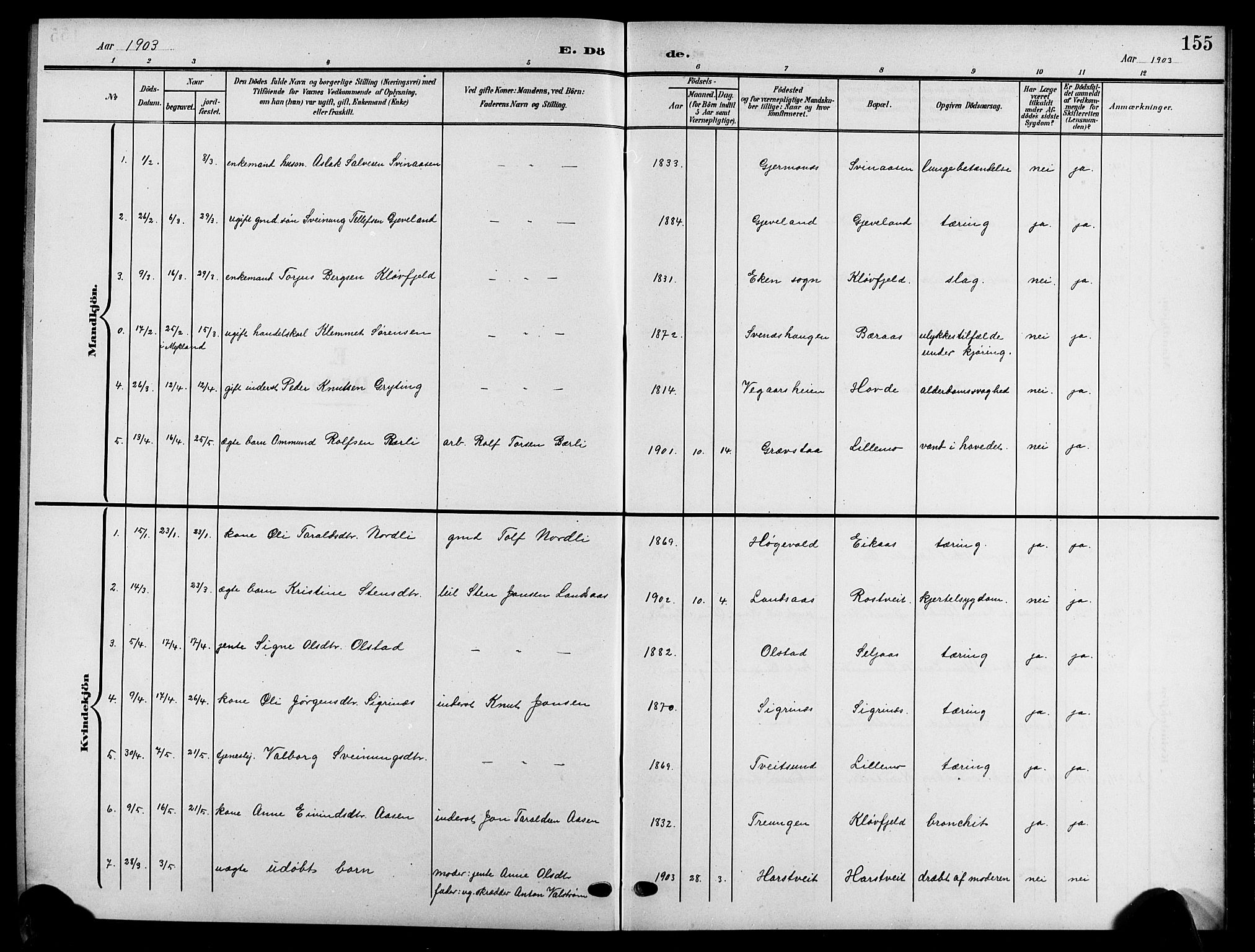 Åmli sokneprestkontor, AV/SAK-1111-0050/F/Fb/Fbc/L0005: Parish register (copy) no. B 5, 1903-1916, p. 155