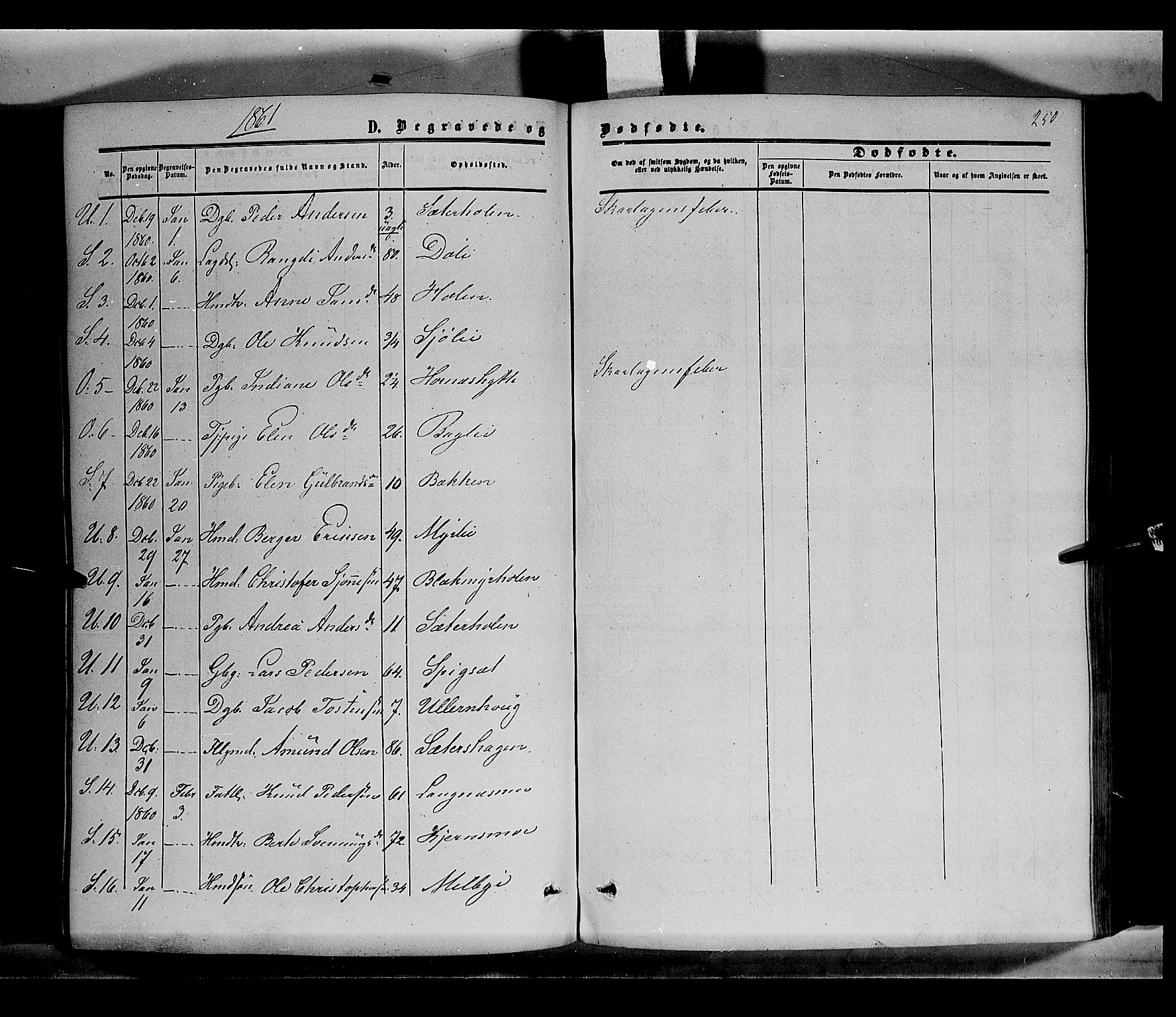 Sør-Odal prestekontor, AV/SAH-PREST-030/H/Ha/Haa/L0002: Parish register (official) no. 2, 1859-1863, p. 250