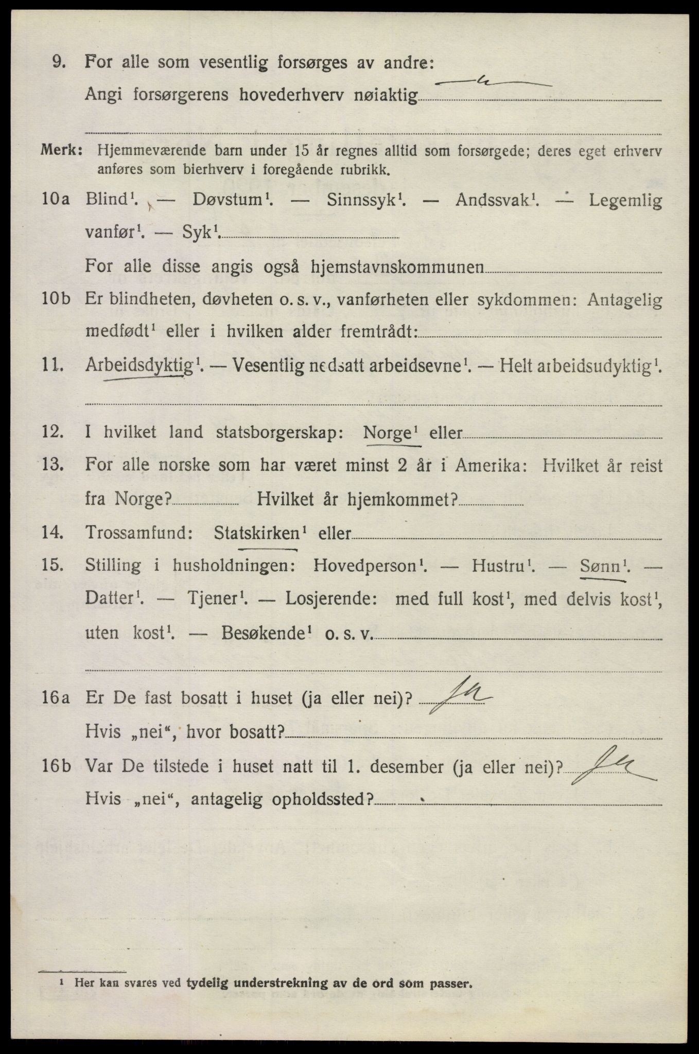 SAKO, 1920 census for Våle, 1920, p. 4797