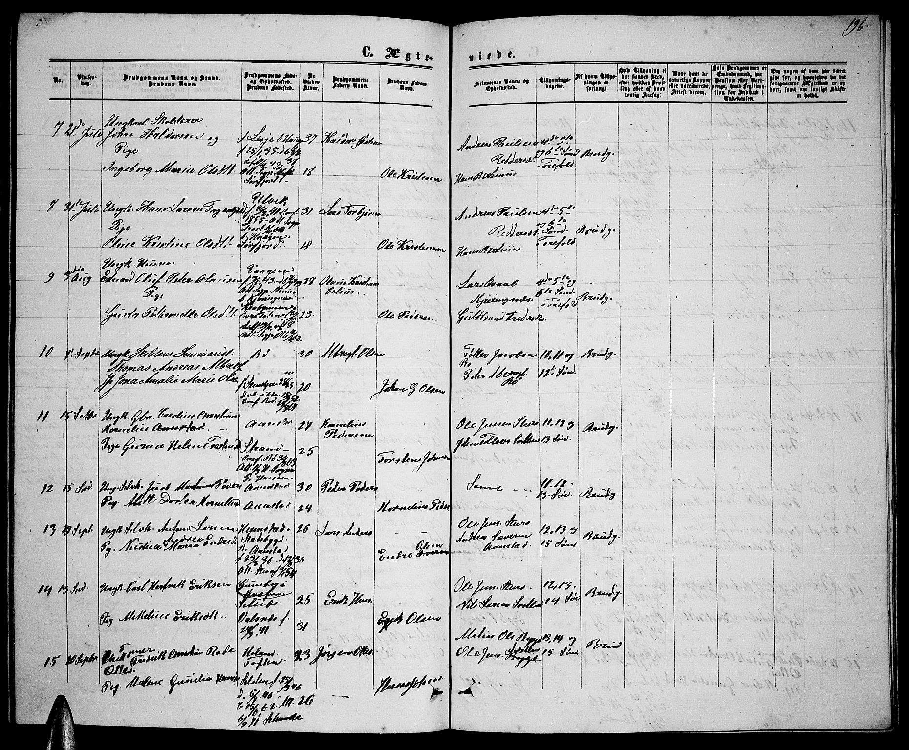 Ministerialprotokoller, klokkerbøker og fødselsregistre - Nordland, AV/SAT-A-1459/895/L1381: Parish register (copy) no. 895C03, 1864-1885, p. 196