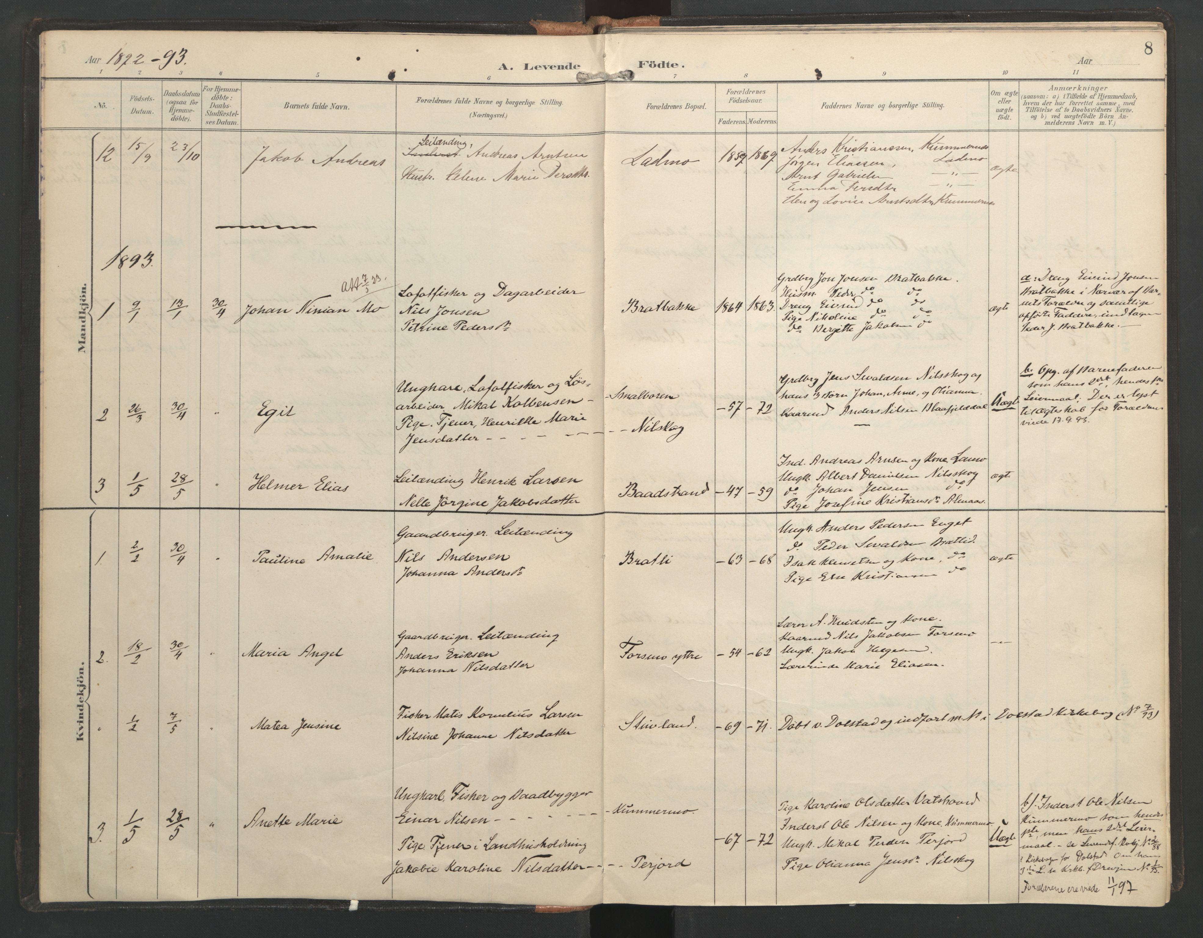 Ministerialprotokoller, klokkerbøker og fødselsregistre - Nordland, SAT/A-1459/821/L0317: Parish register (official) no. 821A01, 1892-1907, p. 8