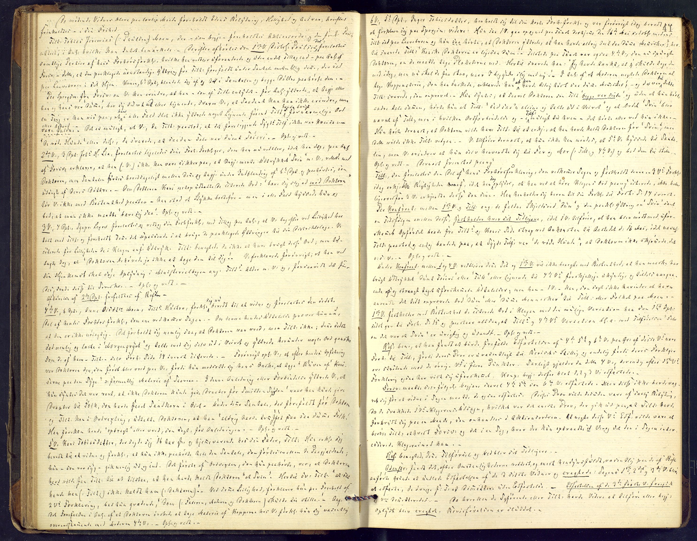 Øvre Telemark østfjelske sorenskriveri, AV/SAKO-A-213/F/Fc/Fcb/L0011: Ekstrarettsprotokoll, straffesaker, 1888-1897, p. 41