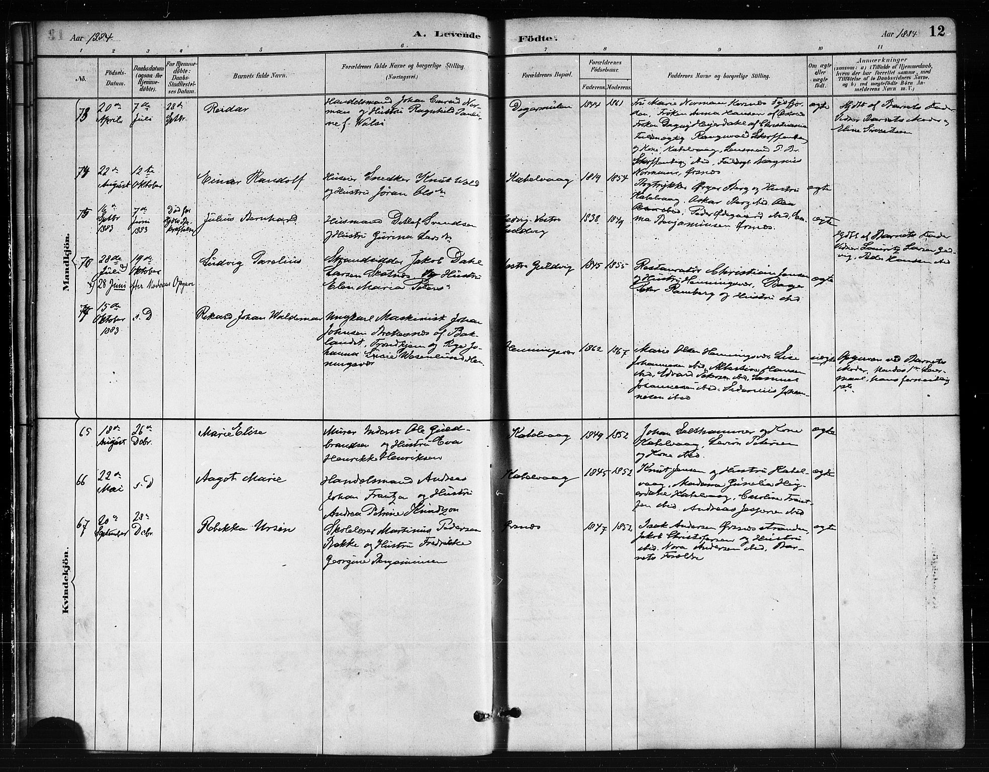 Ministerialprotokoller, klokkerbøker og fødselsregistre - Nordland, SAT/A-1459/874/L1059: Parish register (official) no. 874A03, 1884-1890, p. 12