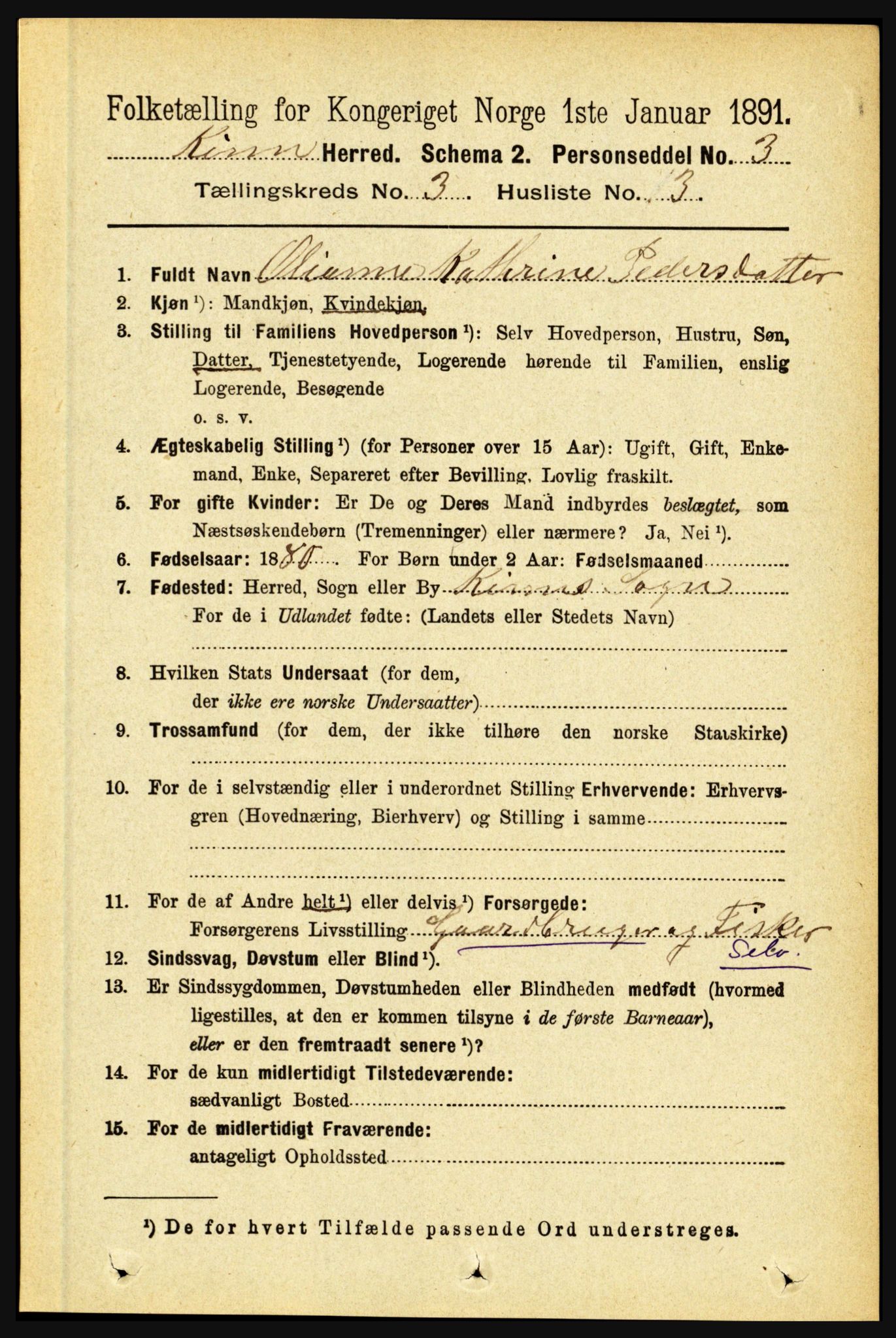 RA, 1891 census for 1437 Kinn, 1891, p. 958
