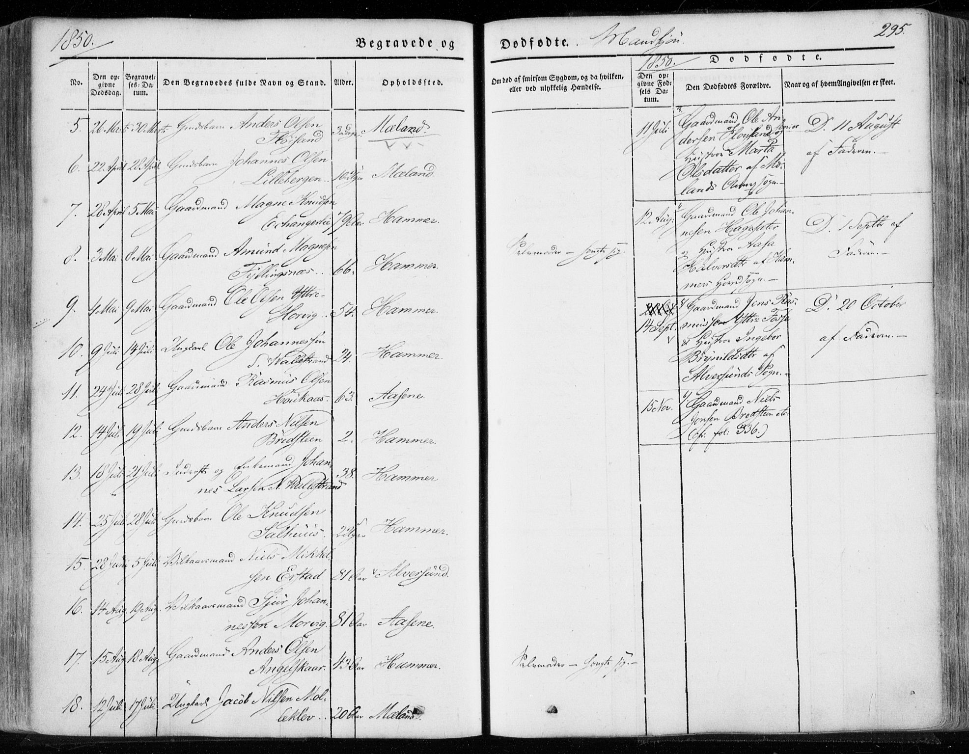 Hamre sokneprestembete, AV/SAB-A-75501/H/Ha/Haa/Haaa/L0013: Parish register (official) no. A 13, 1846-1857, p. 295