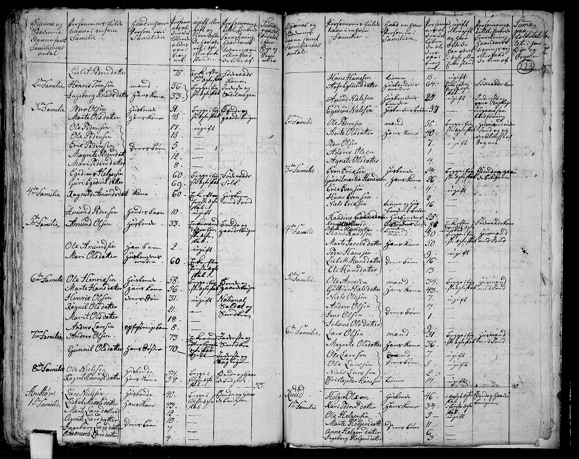 RA, 1801 census for 0525P Biri, 1801, p. 222b-223a