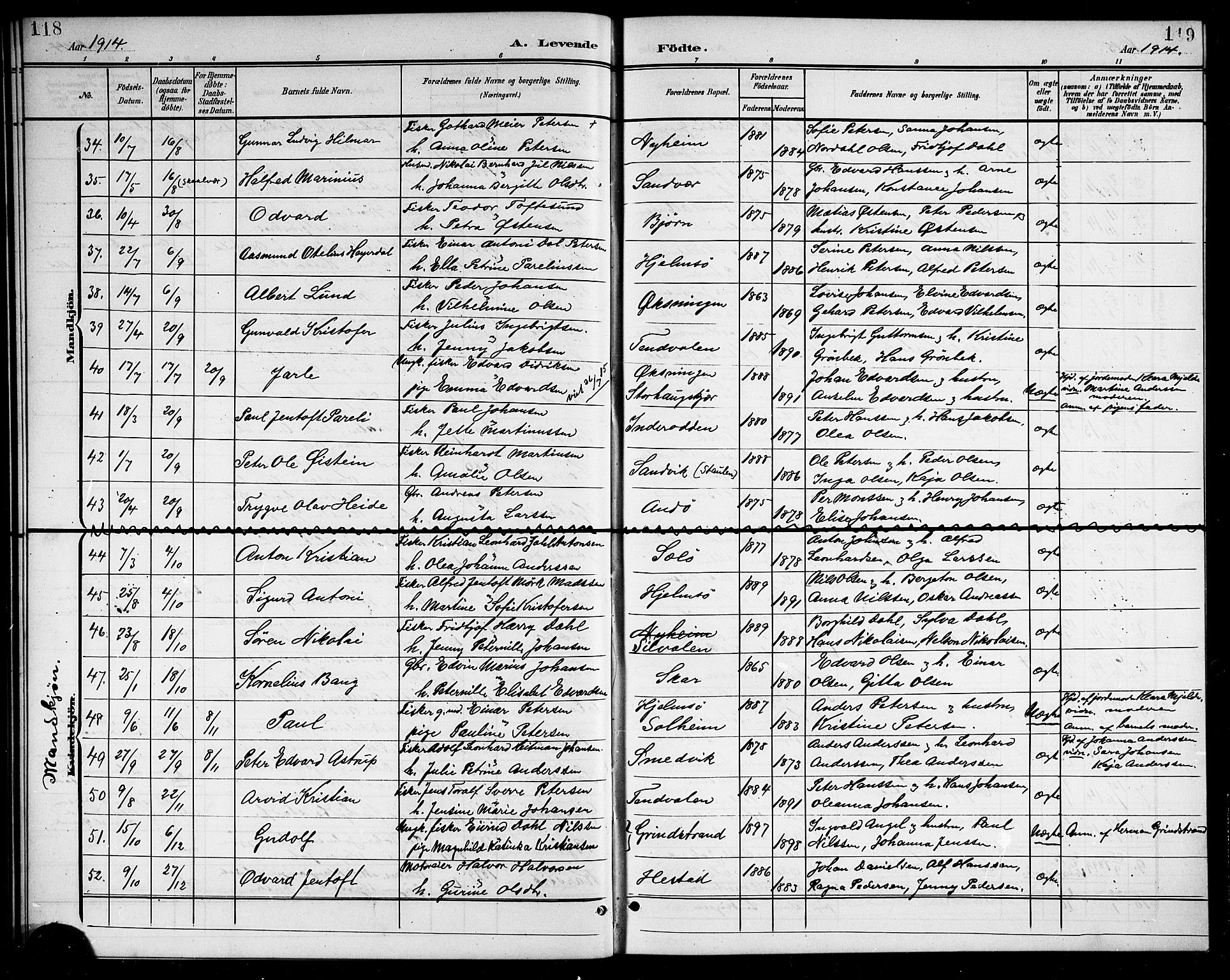 Ministerialprotokoller, klokkerbøker og fødselsregistre - Nordland, SAT/A-1459/834/L0516: Parish register (copy) no. 834C06, 1902-1918, p. 118-119