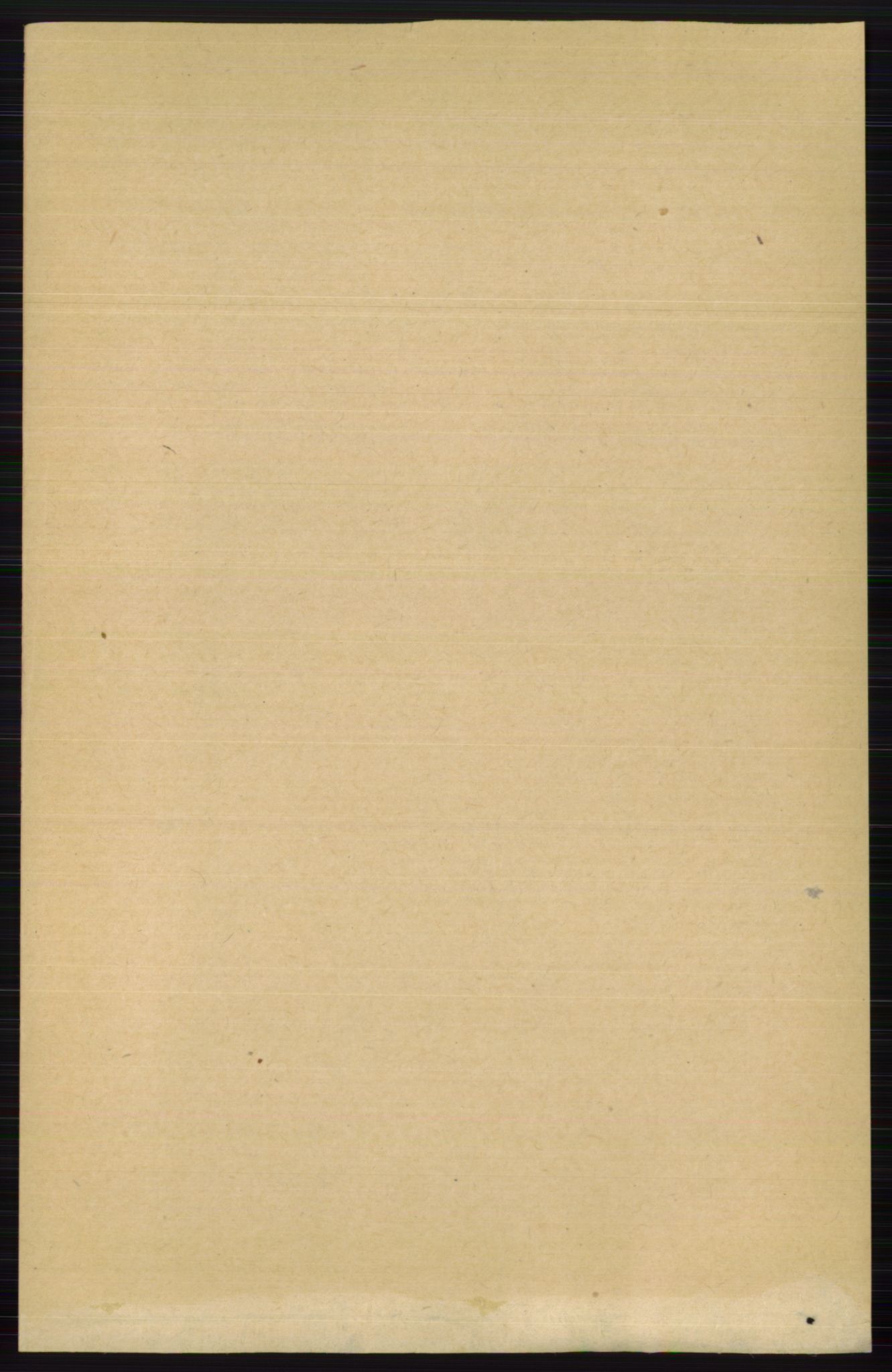 RA, 1891 census for 0613 Norderhov, 1891, p. 5557