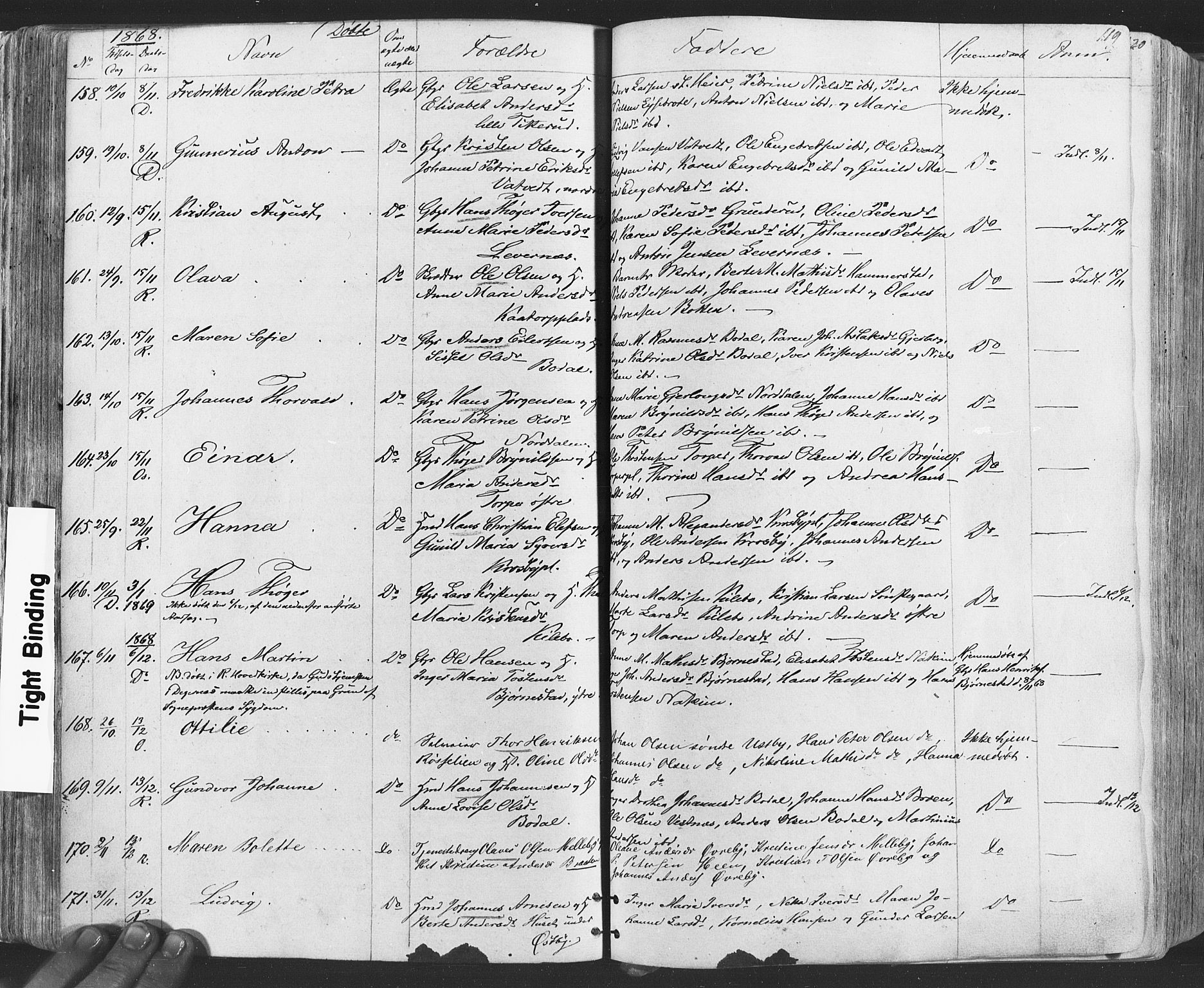 Rakkestad prestekontor Kirkebøker, SAO/A-2008/F/Fa/L0011: Parish register (official) no. I 11, 1862-1877, p. 119