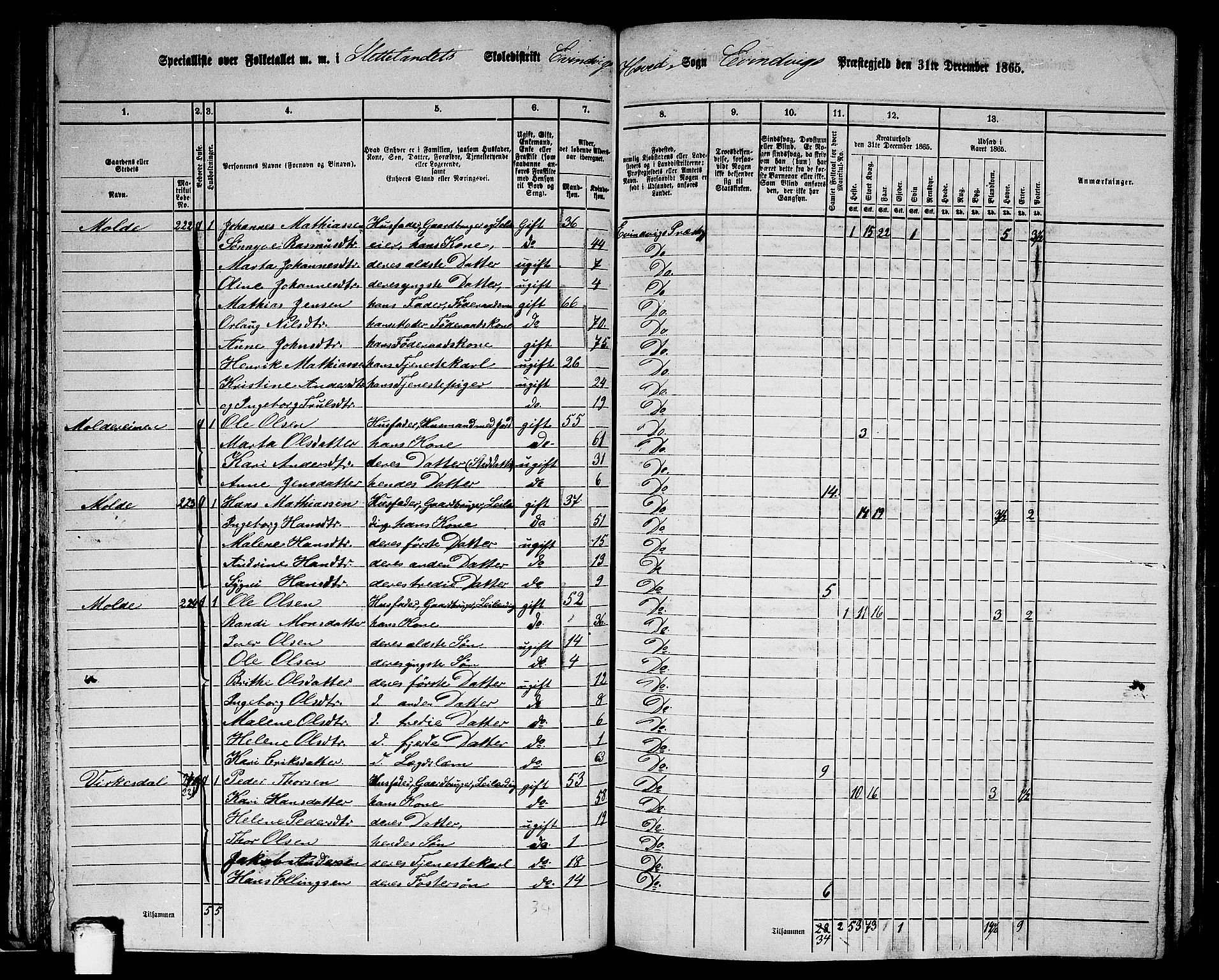 RA, 1865 census for Eivindvik, 1865, p. 50