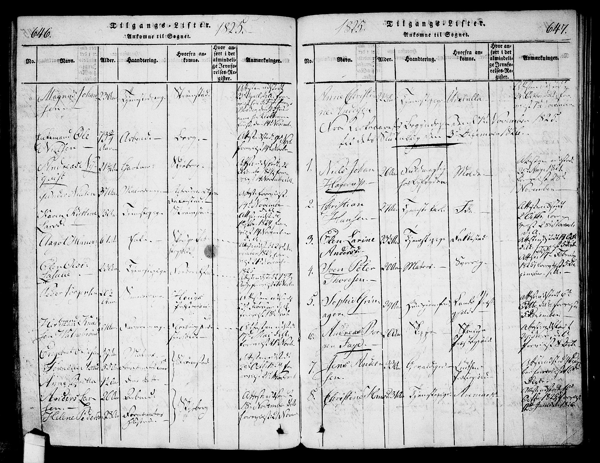 Halden prestekontor Kirkebøker, SAO/A-10909/G/Ga/L0001: Parish register (copy) no. 1, 1815-1833, p. 646-647