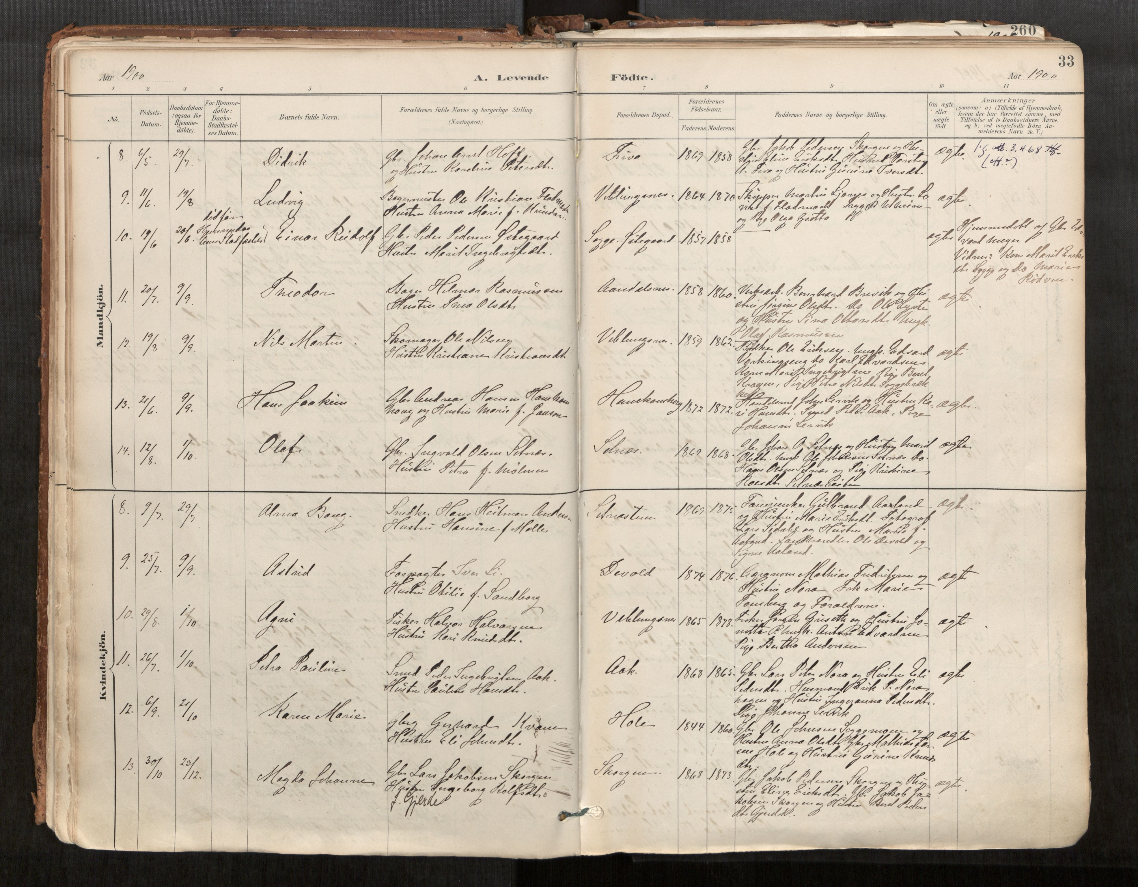 Ministerialprotokoller, klokkerbøker og fødselsregistre - Møre og Romsdal, AV/SAT-A-1454/544/L0585: Parish register (official) no. 544A06, 1887-1924, p. 33