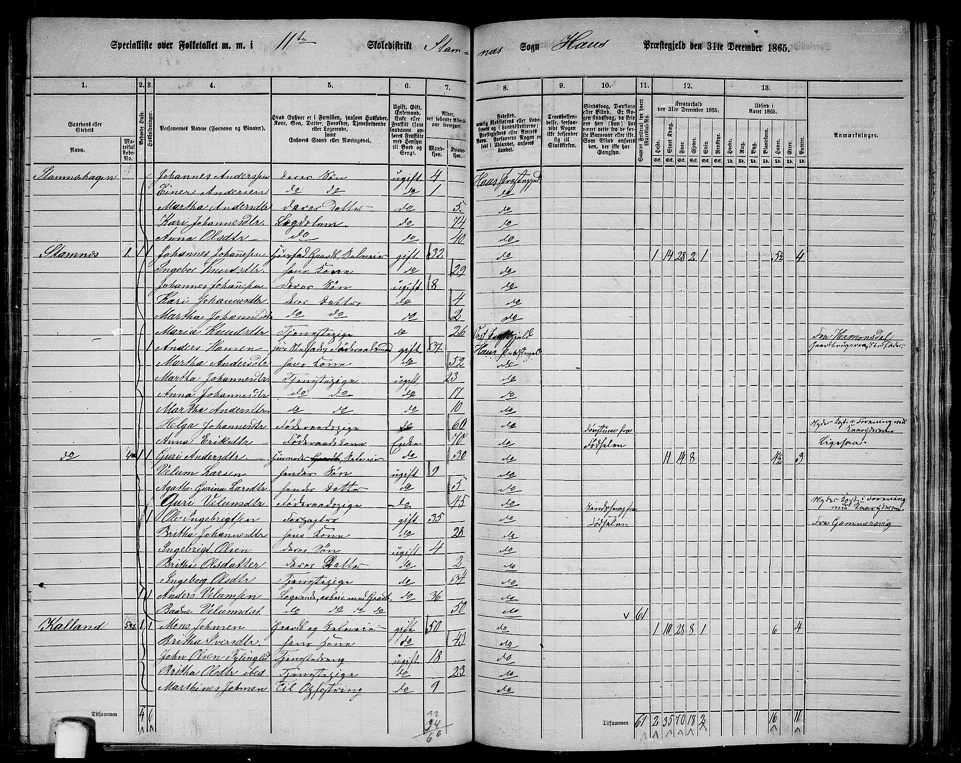 RA, 1865 census for Haus, 1865, p. 217