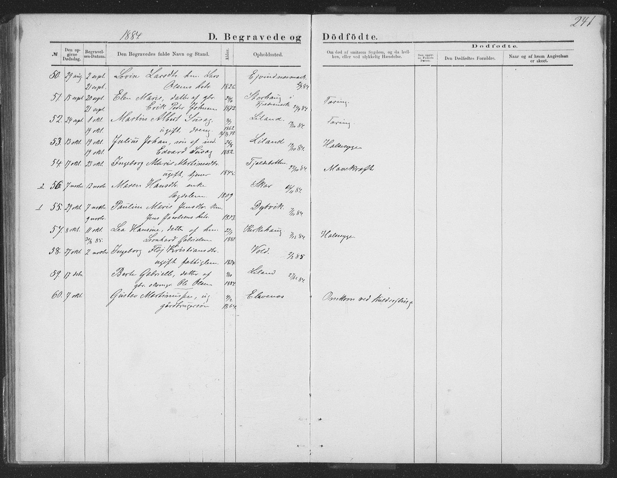 Ministerialprotokoller, klokkerbøker og fødselsregistre - Nordland, AV/SAT-A-1459/863/L0913: Parish register (copy) no. 863C03, 1877-1885, p. 241