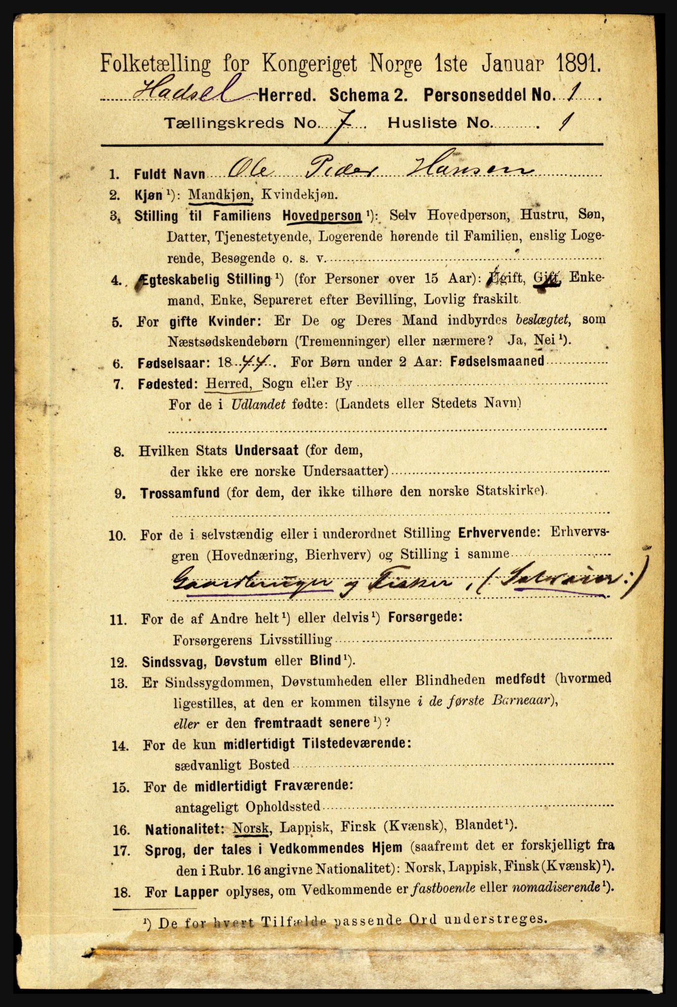 RA, 1891 census for 1866 Hadsel, 1891, p. 3118