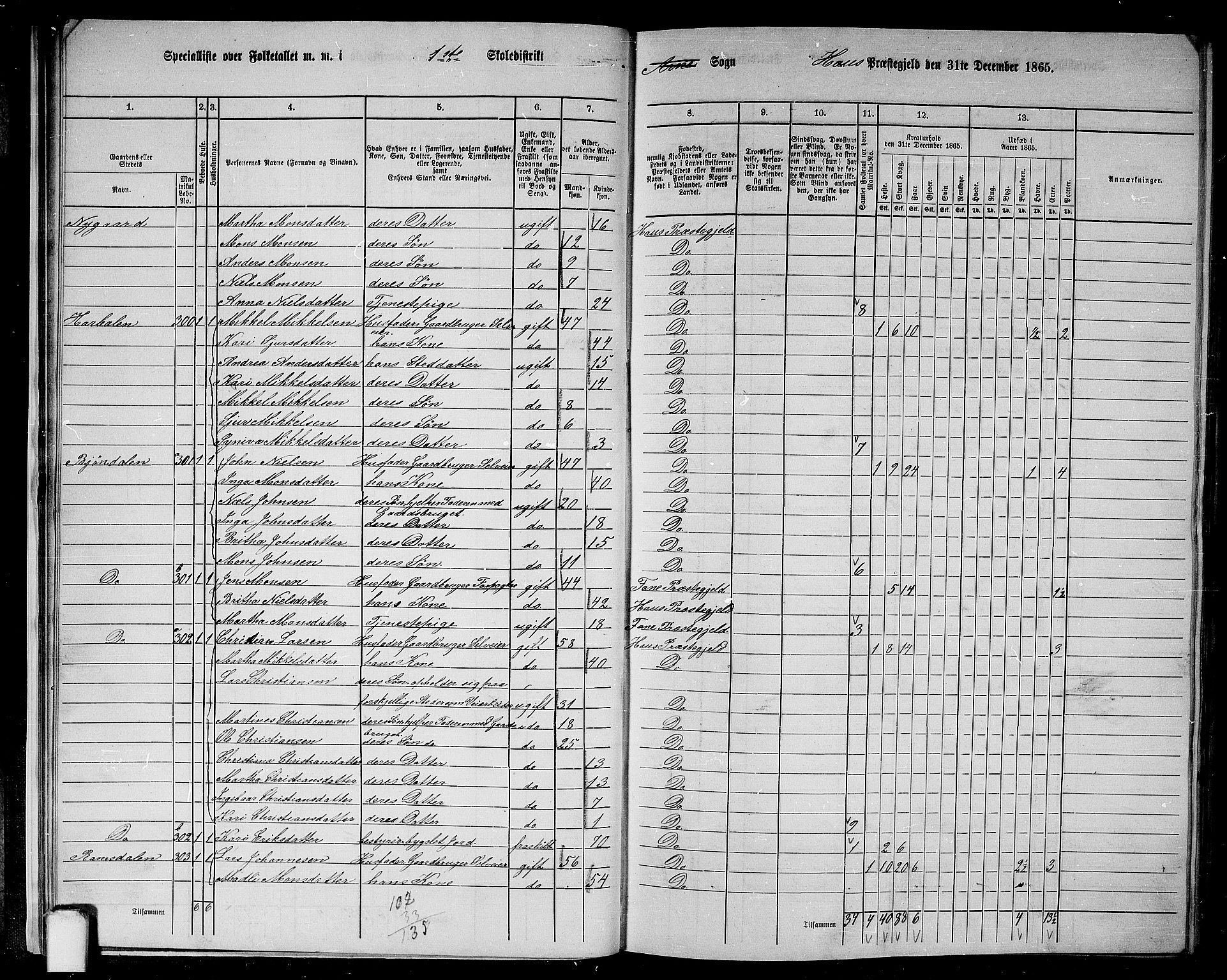 RA, 1865 census for Haus, 1865, p. 21