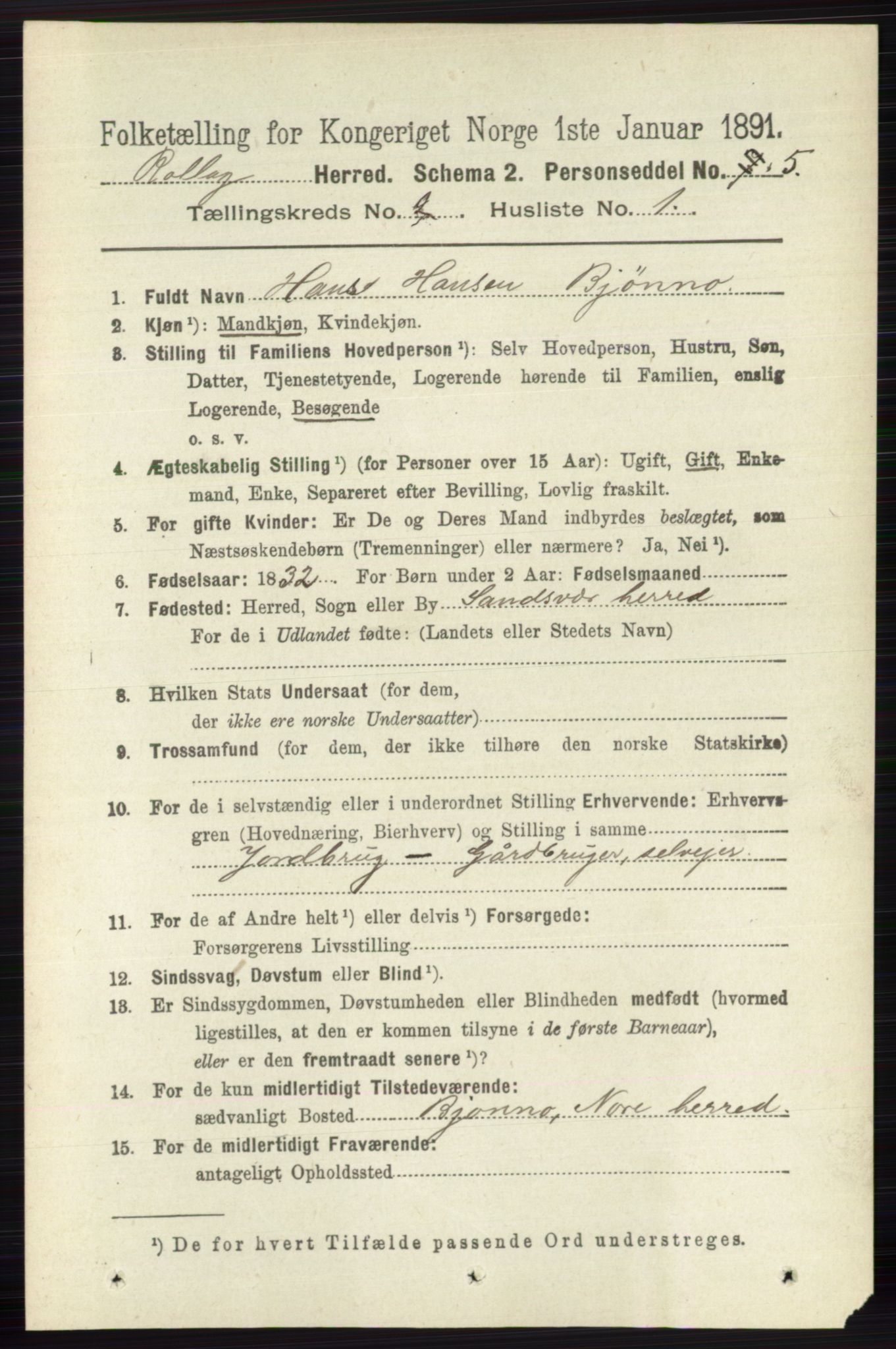 RA, 1891 census for 0632 Rollag, 1891, p. 491