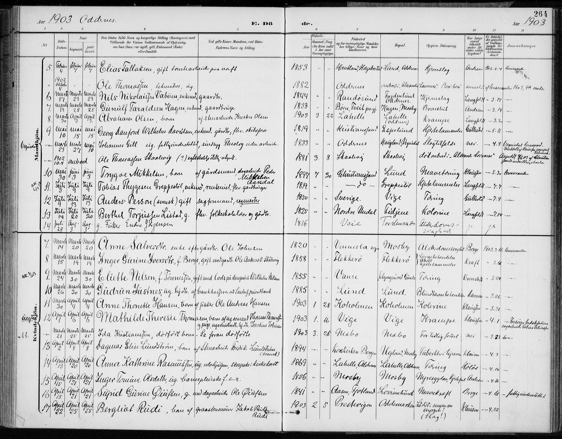 Oddernes sokneprestkontor, SAK/1111-0033/F/Fa/Faa/L0010: Parish register (official) no. A 10, 1897-1911, p. 264