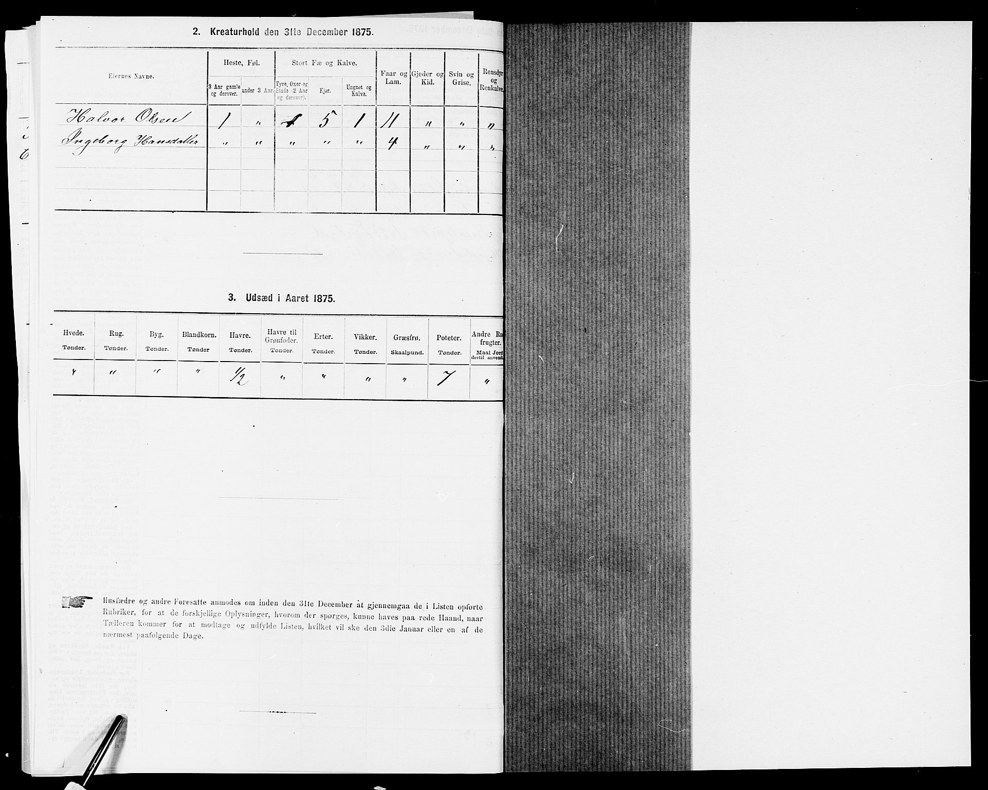 SAK, 1875 census for 0934P Evje, 1875, p. 185