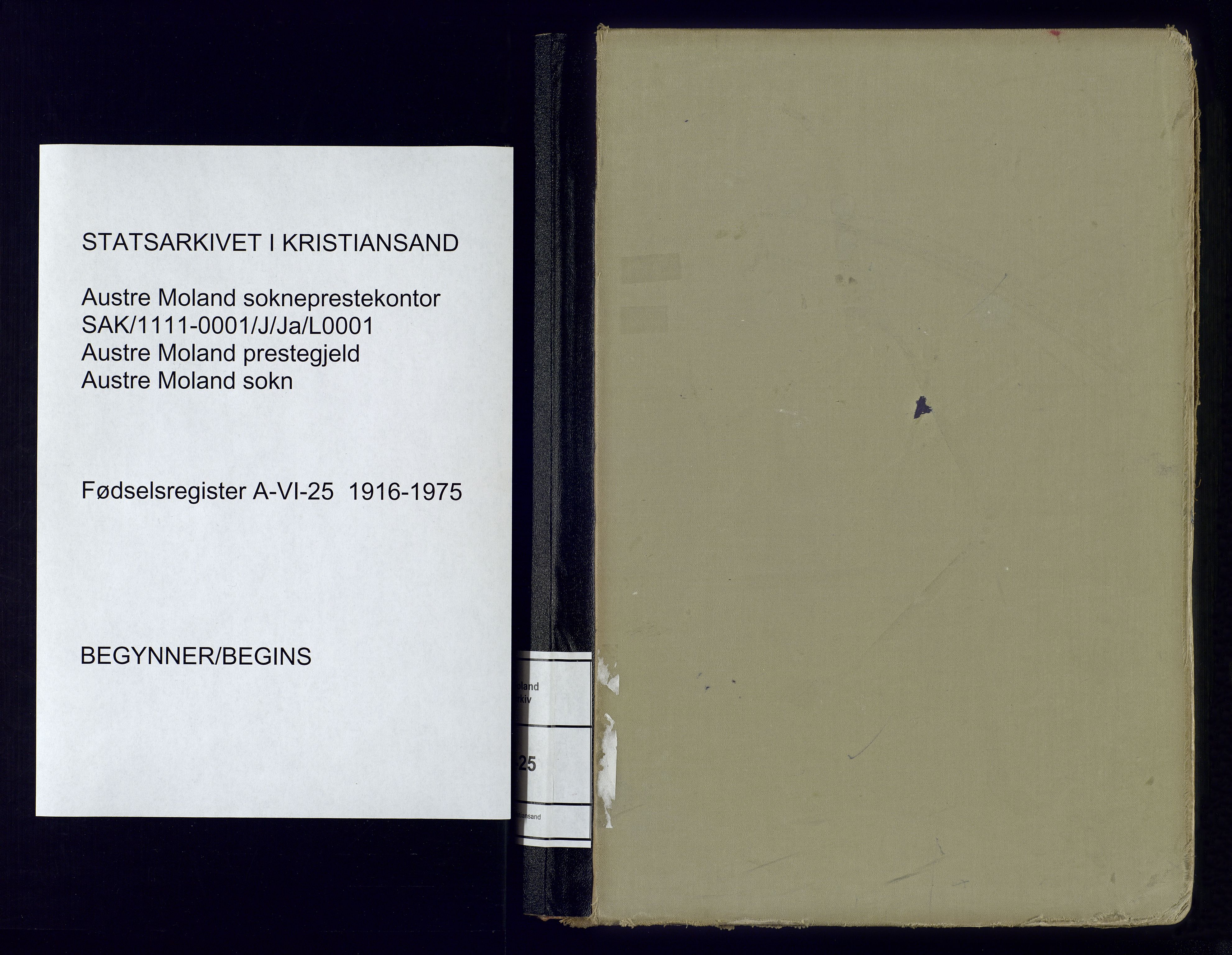 Austre Moland sokneprestkontor, AV/SAK-1111-0001/J/Ja/L0001: Birth register no. A-VI-25, 1916-1975