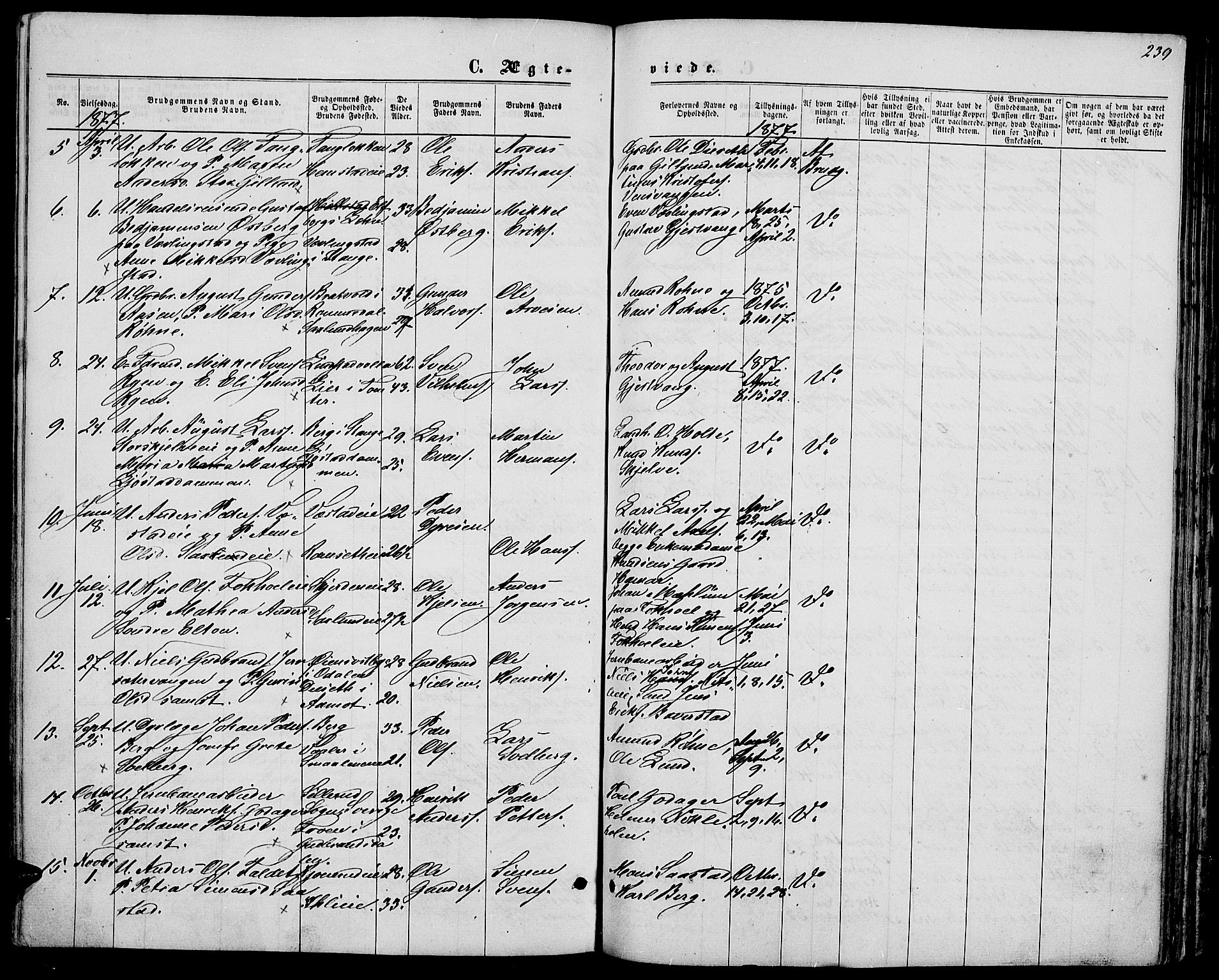 Stange prestekontor, AV/SAH-PREST-002/L/L0006: Parish register (copy) no. 6, 1864-1882, p. 239