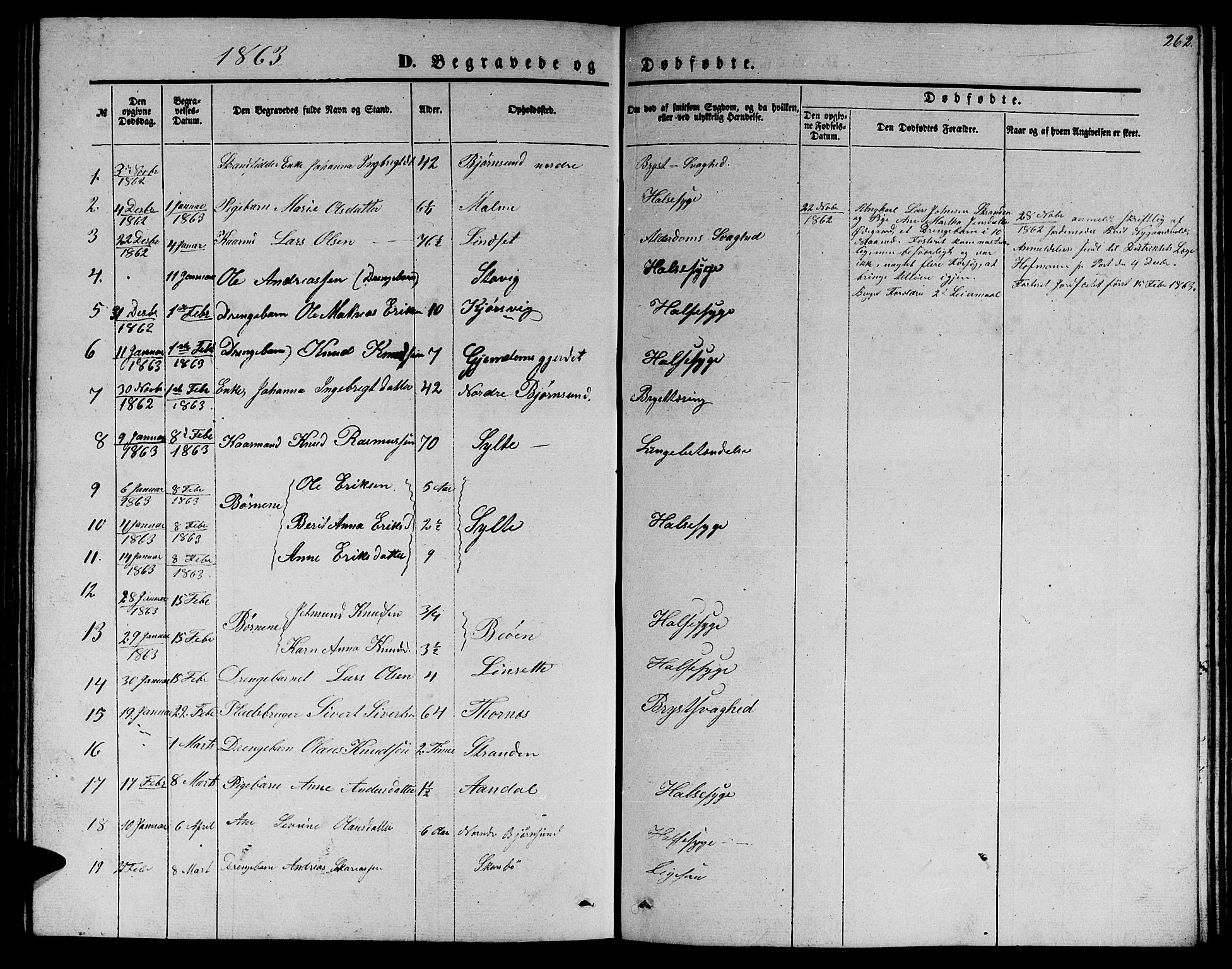 Ministerialprotokoller, klokkerbøker og fødselsregistre - Møre og Romsdal, AV/SAT-A-1454/565/L0753: Parish register (copy) no. 565C02, 1845-1870, p. 262