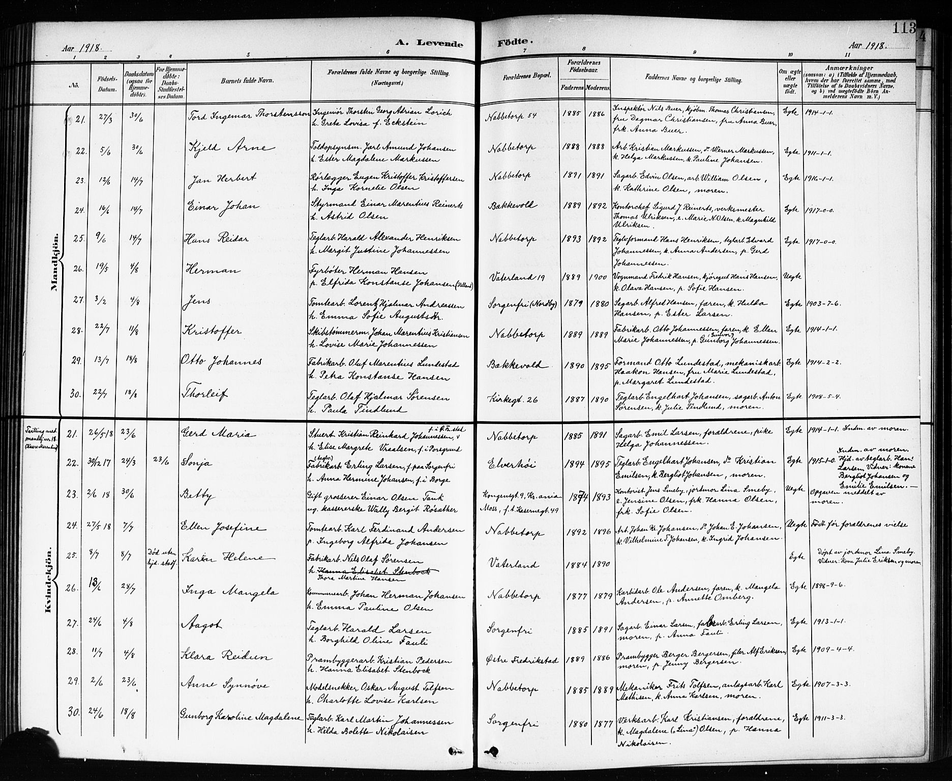 Østre Fredrikstad prestekontor Kirkebøker, AV/SAO-A-10907/G/Ga/L0002: Parish register (copy) no. 2, 1900-1919, p. 113