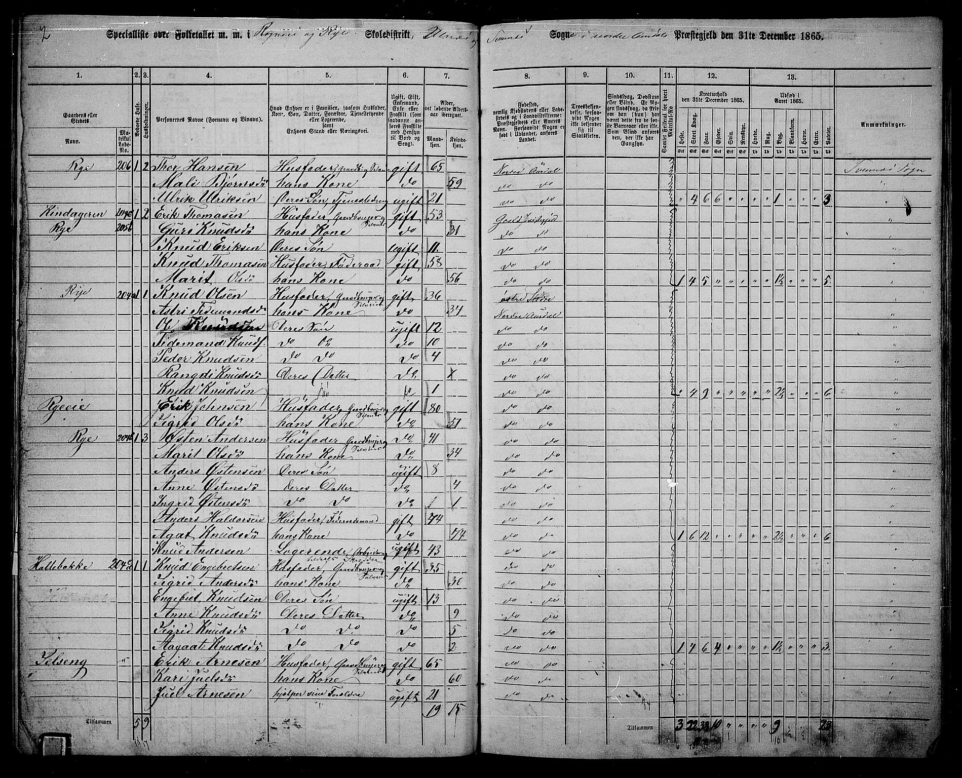 RA, 1865 census for Nord-Aurdal, 1865, p. 133