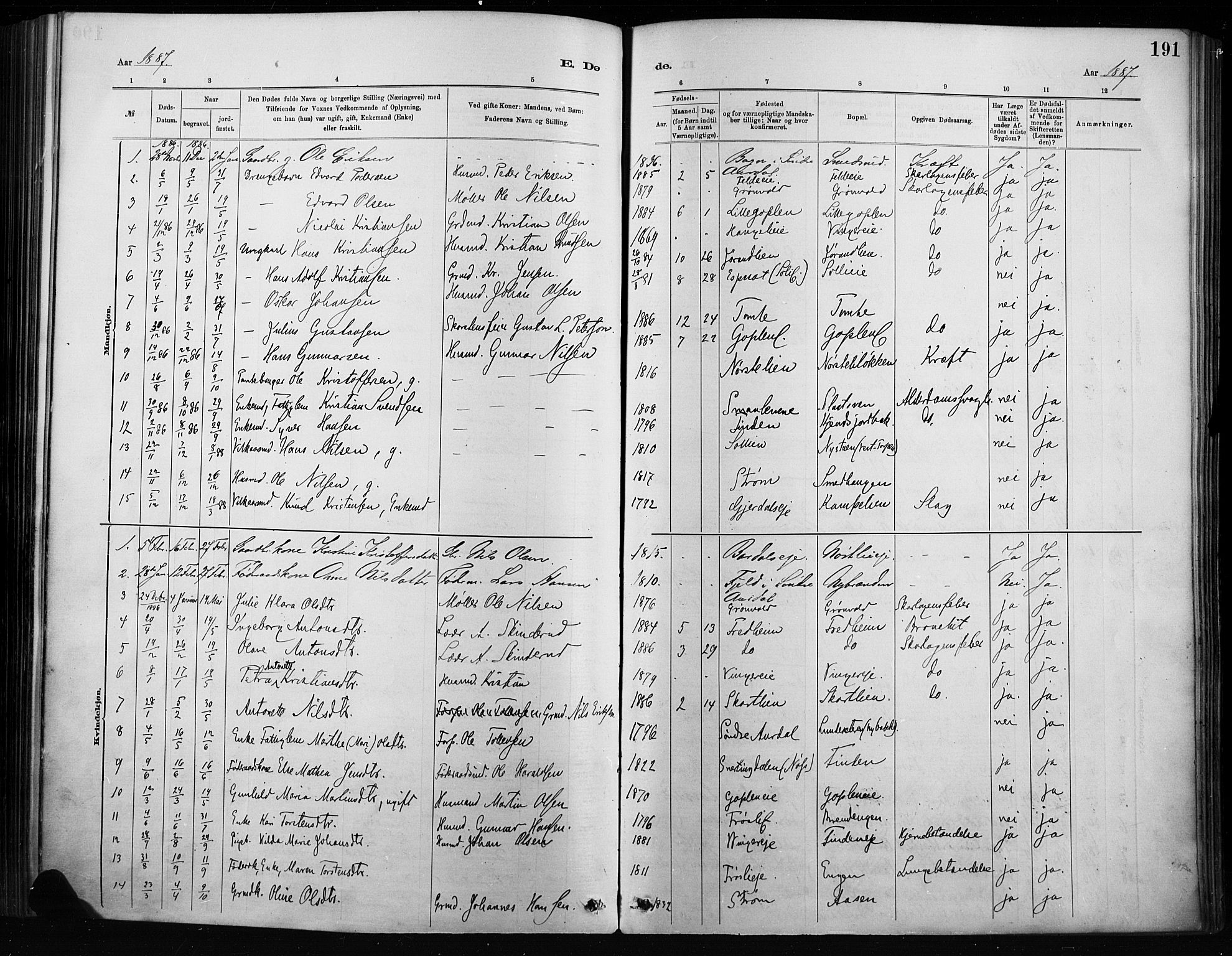 Nordre Land prestekontor, AV/SAH-PREST-124/H/Ha/Haa/L0004: Parish register (official) no. 4, 1882-1896, p. 191