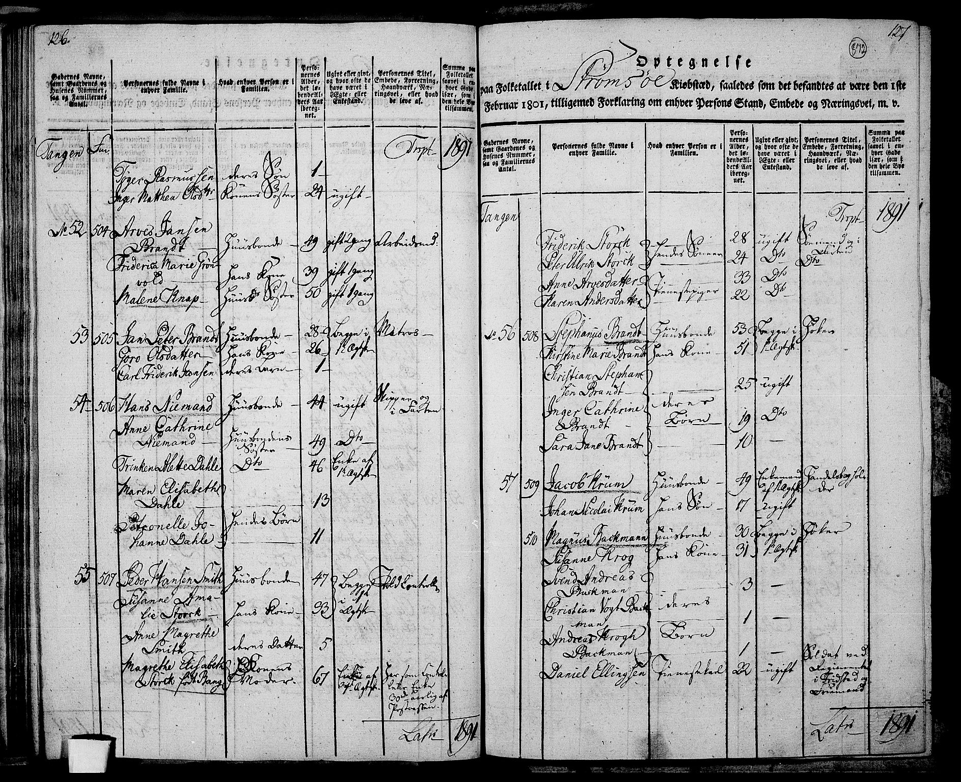 RA, 1801 census for 0602P Bragernes, 1801, p. 871b-872a