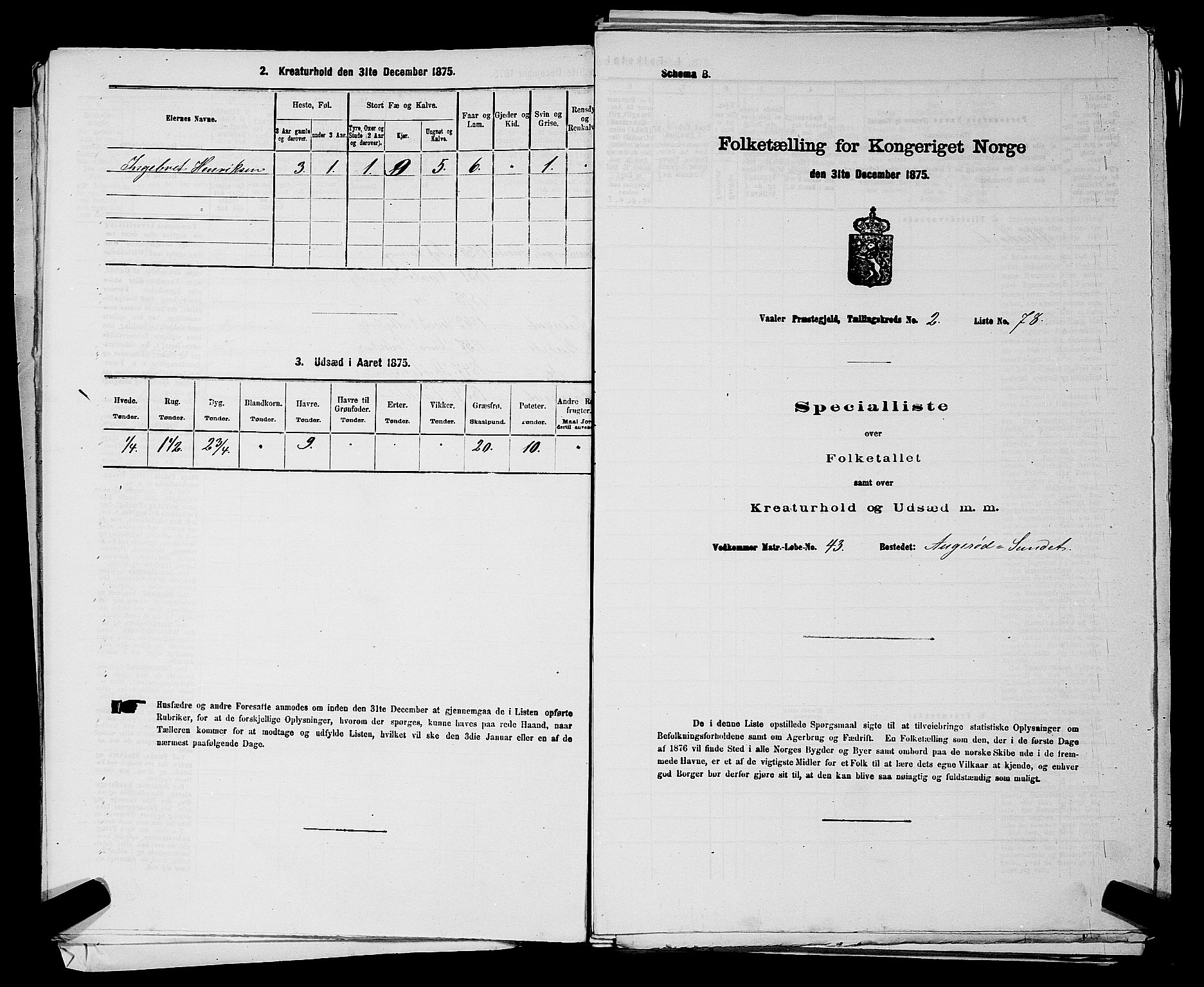 RA, 1875 census for 0137P Våler, 1875, p. 247