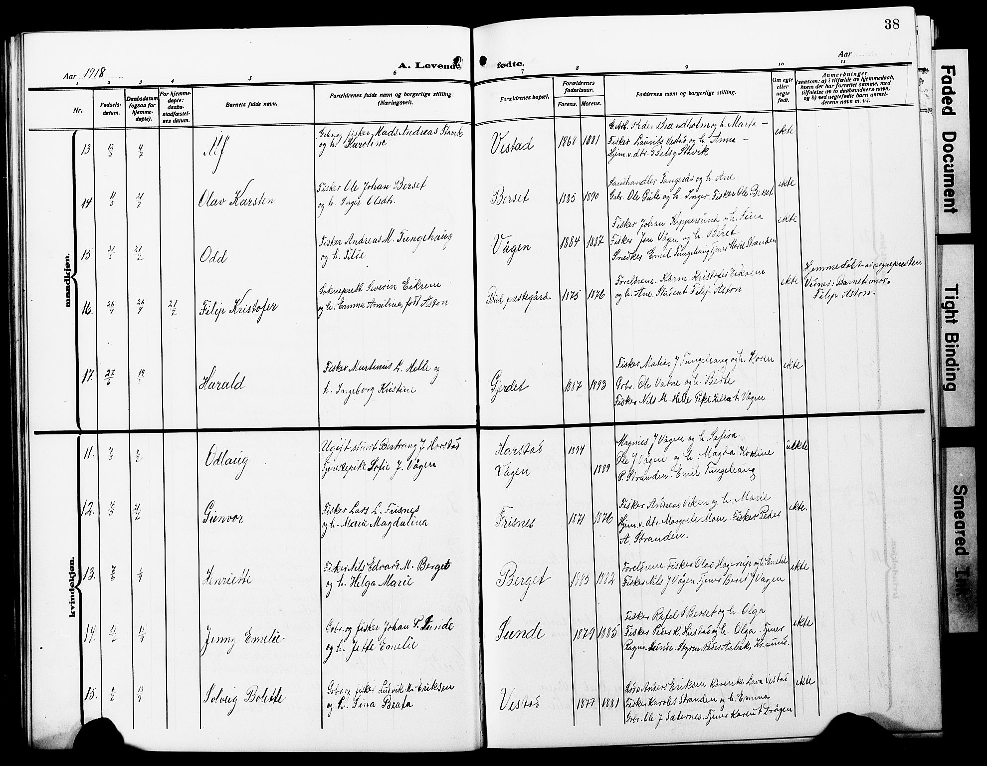 Ministerialprotokoller, klokkerbøker og fødselsregistre - Møre og Romsdal, SAT/A-1454/566/L0774: Parish register (copy) no. 566C03, 1910-1929, p. 38