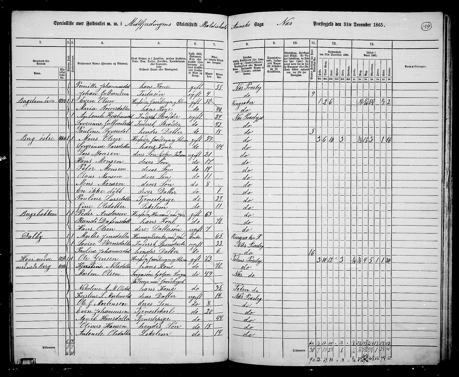 RA, 1865 census for Nes, 1865, p. 135