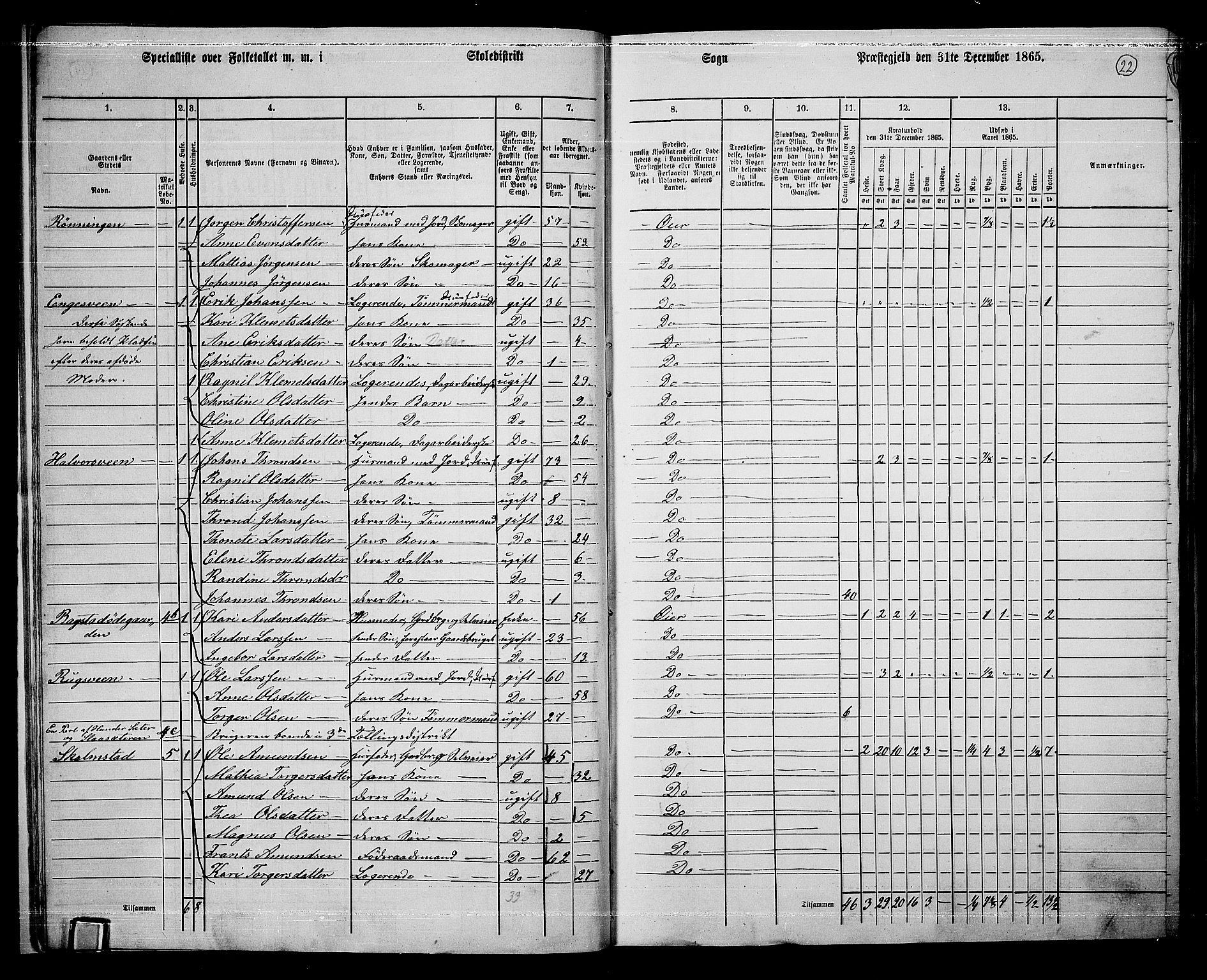 RA, 1865 census for Øyer, 1865, p. 19