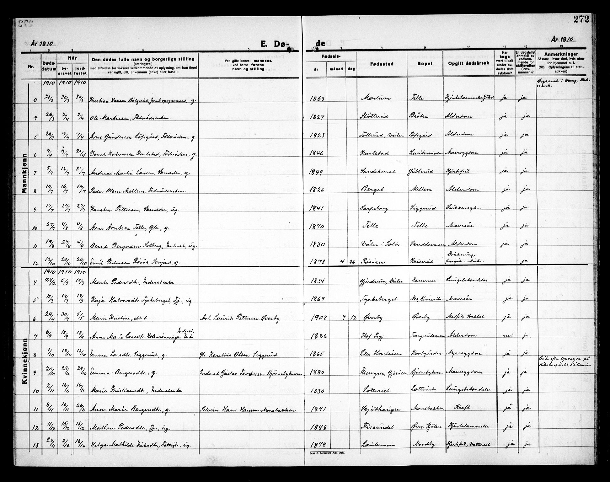 Åsnes prestekontor, AV/SAH-PREST-042/H/Ha/Haa/L0000C: Parish register (official) no. 0A, 1890-1929, p. 272