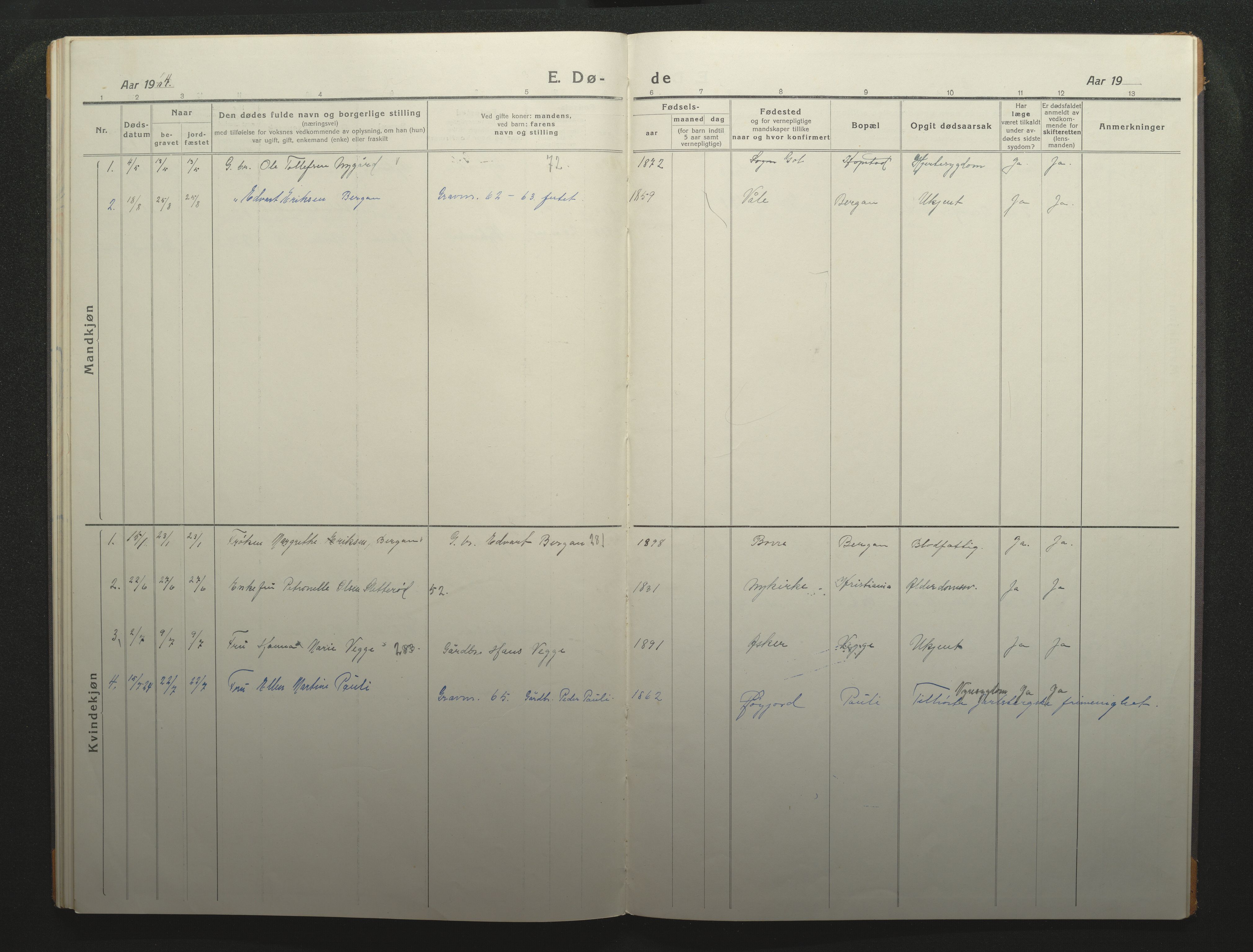 Borre kirkebøker, AV/SAKO-A-338/F/Fc/L0004: Parish register (official) no. III 4, 1918-1925