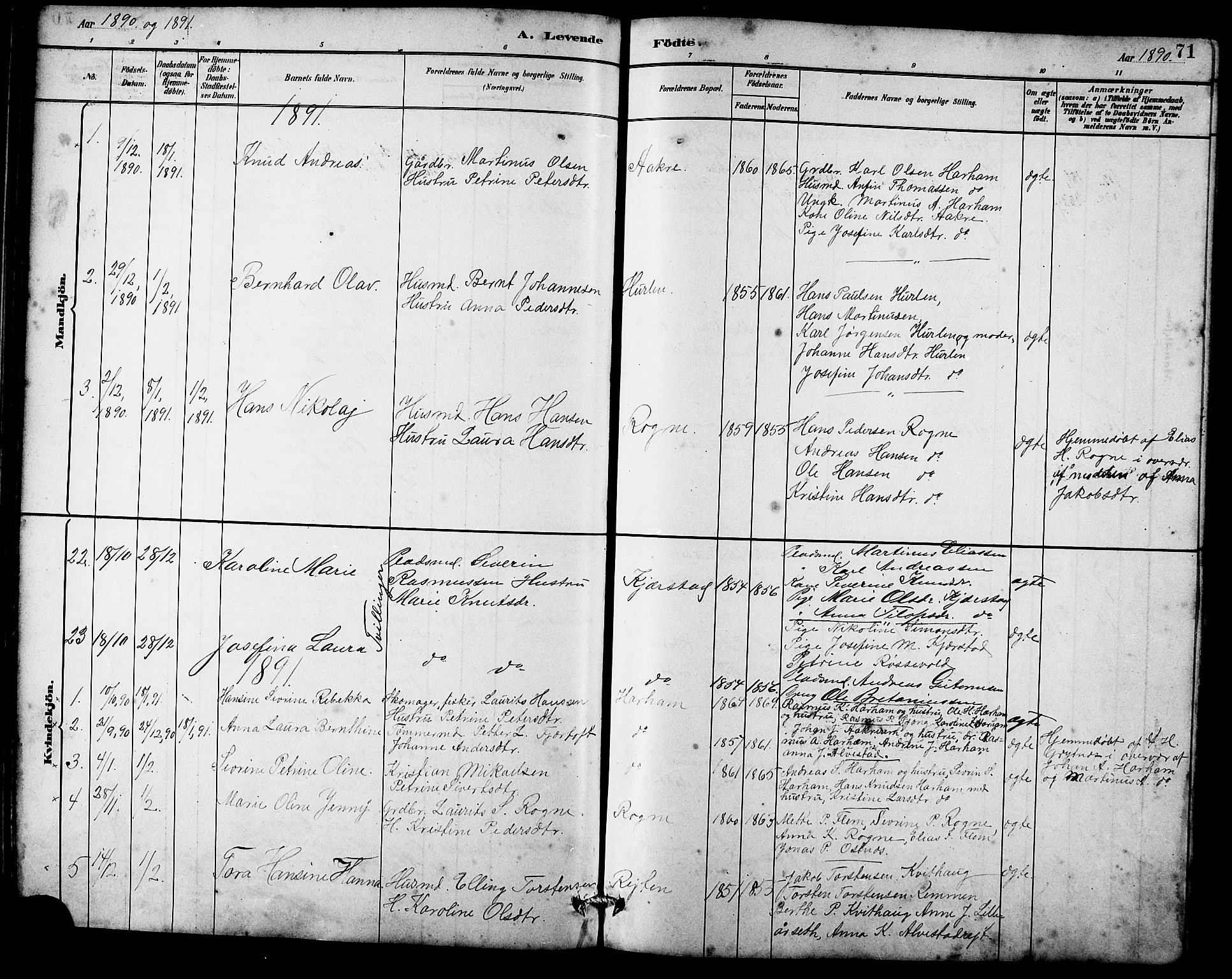 Ministerialprotokoller, klokkerbøker og fødselsregistre - Møre og Romsdal, AV/SAT-A-1454/536/L0510: Parish register (copy) no. 536C05, 1881-1898, p. 71