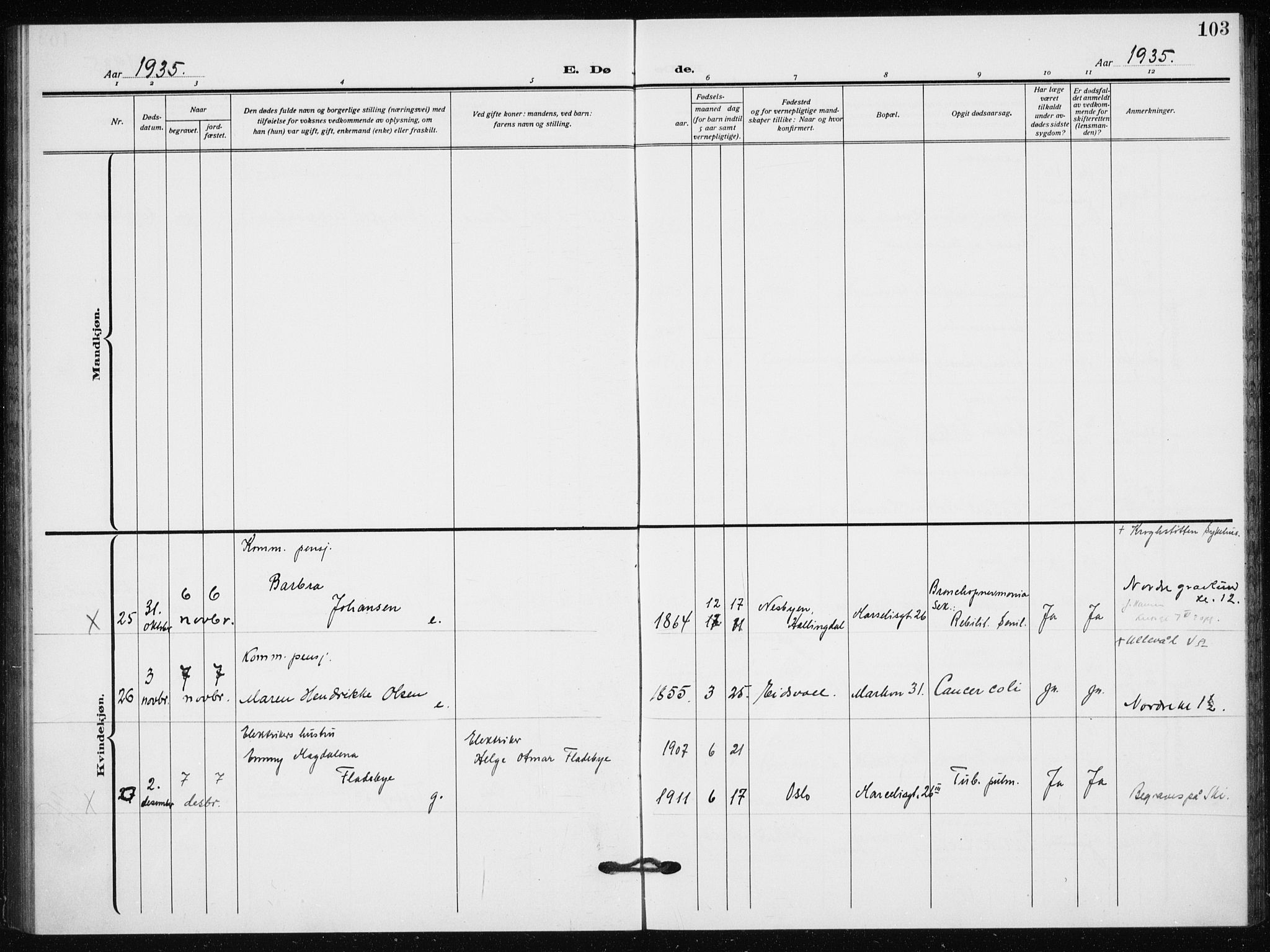 Hauge prestekontor Kirkebøker, AV/SAO-A-10849/F/Fa/L0005: Parish register (official) no. 5, 1917-1938, p. 103